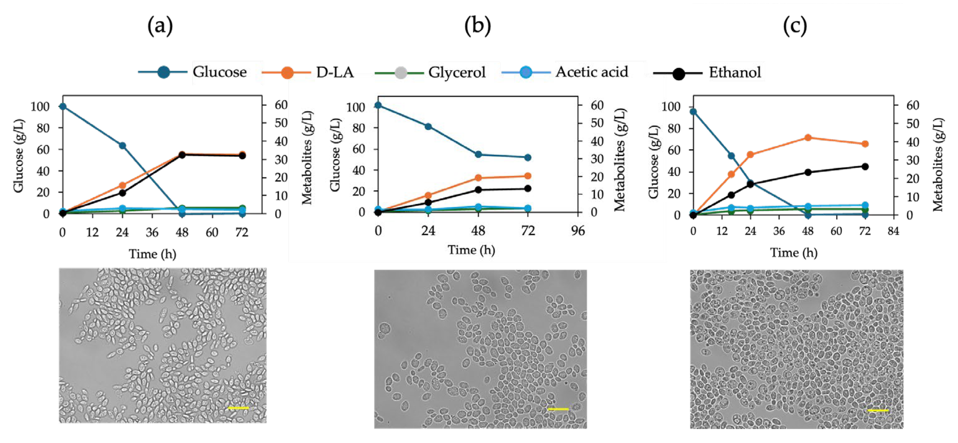 Preprints 182688 g006