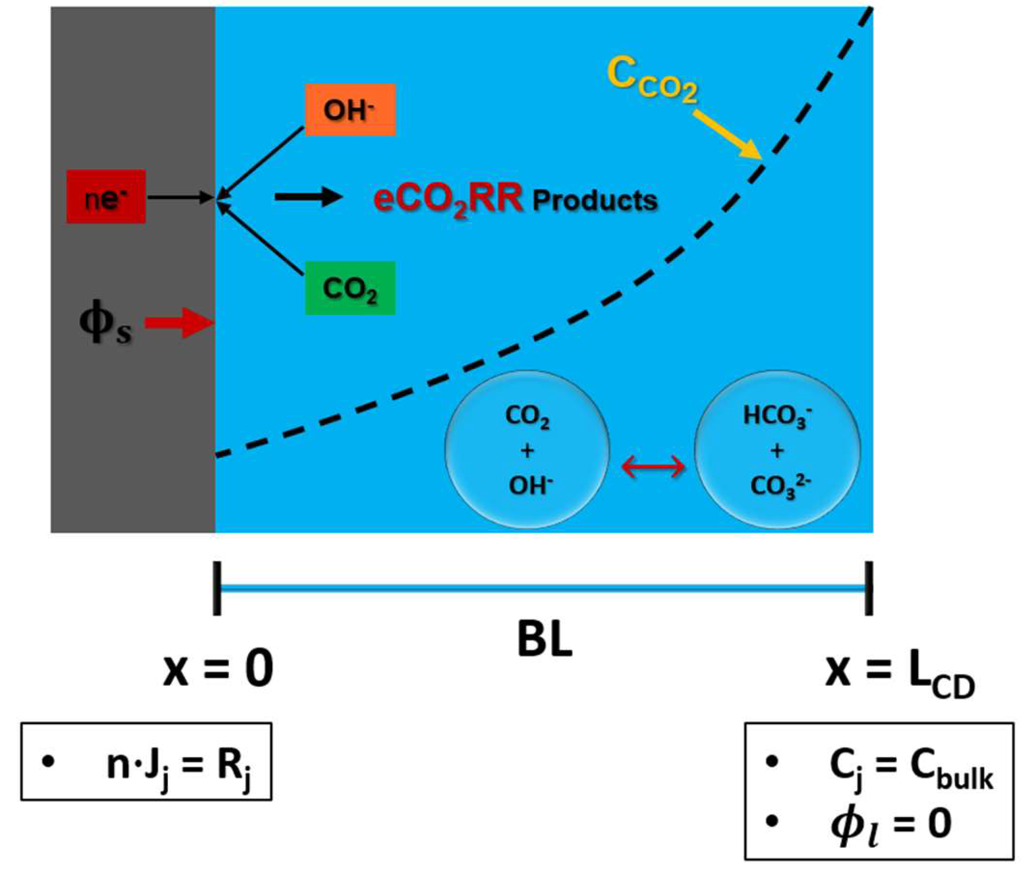Preprints 144607 g002