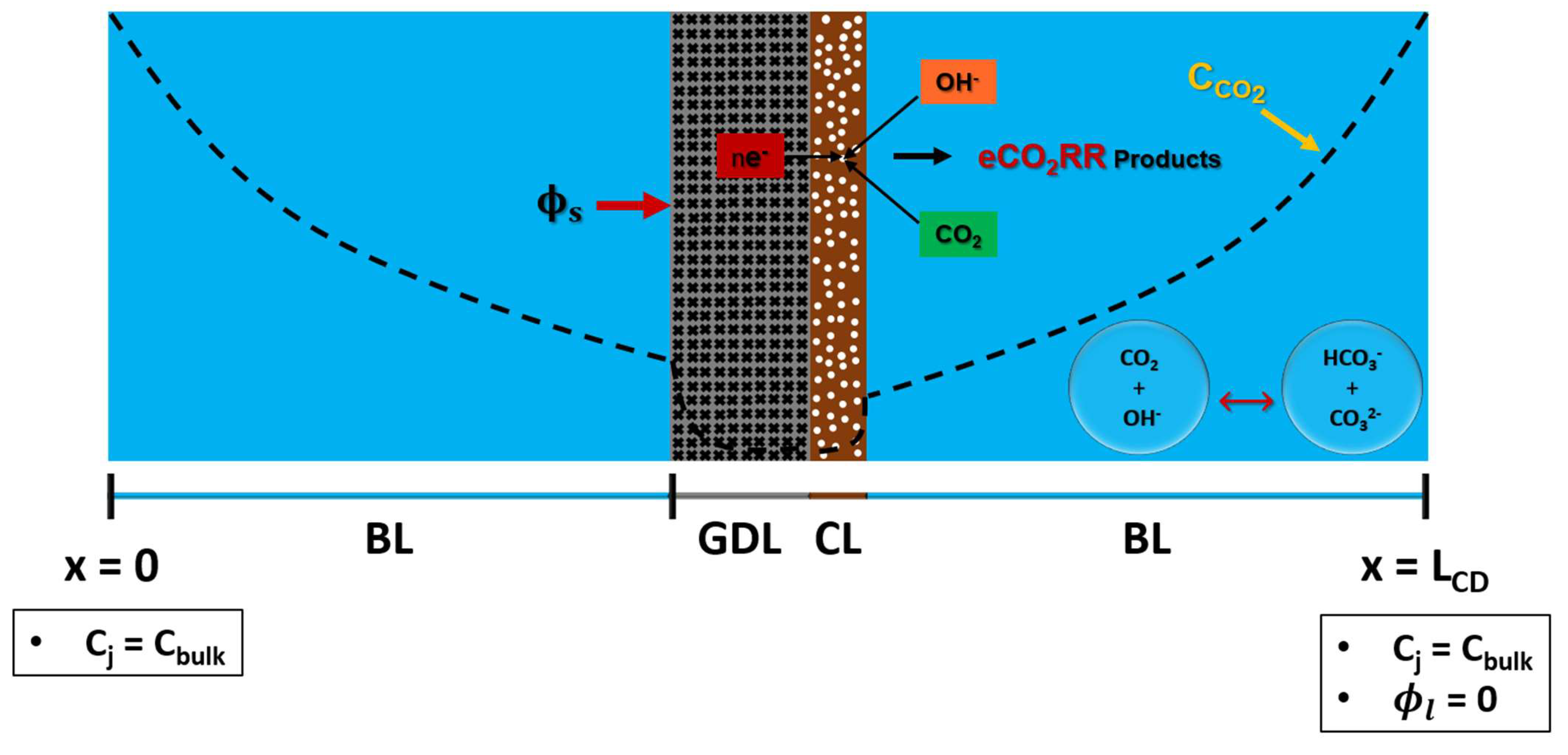 Preprints 144607 g003