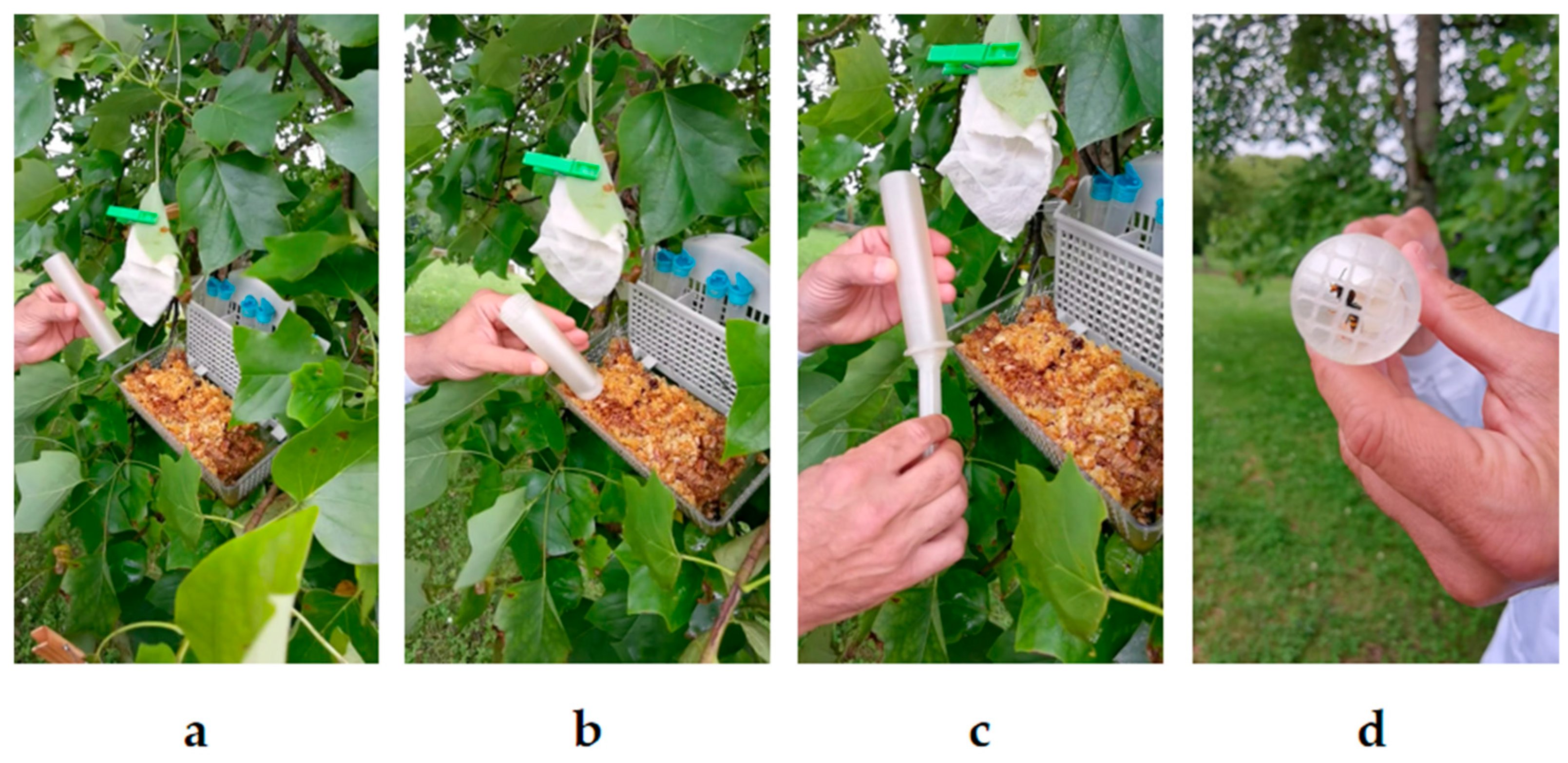 Preprints 158096 g001
