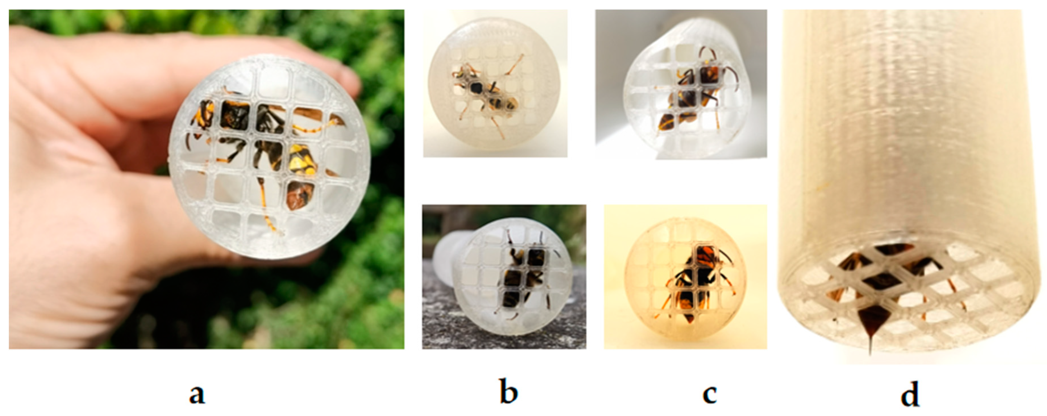 Preprints 158096 g002