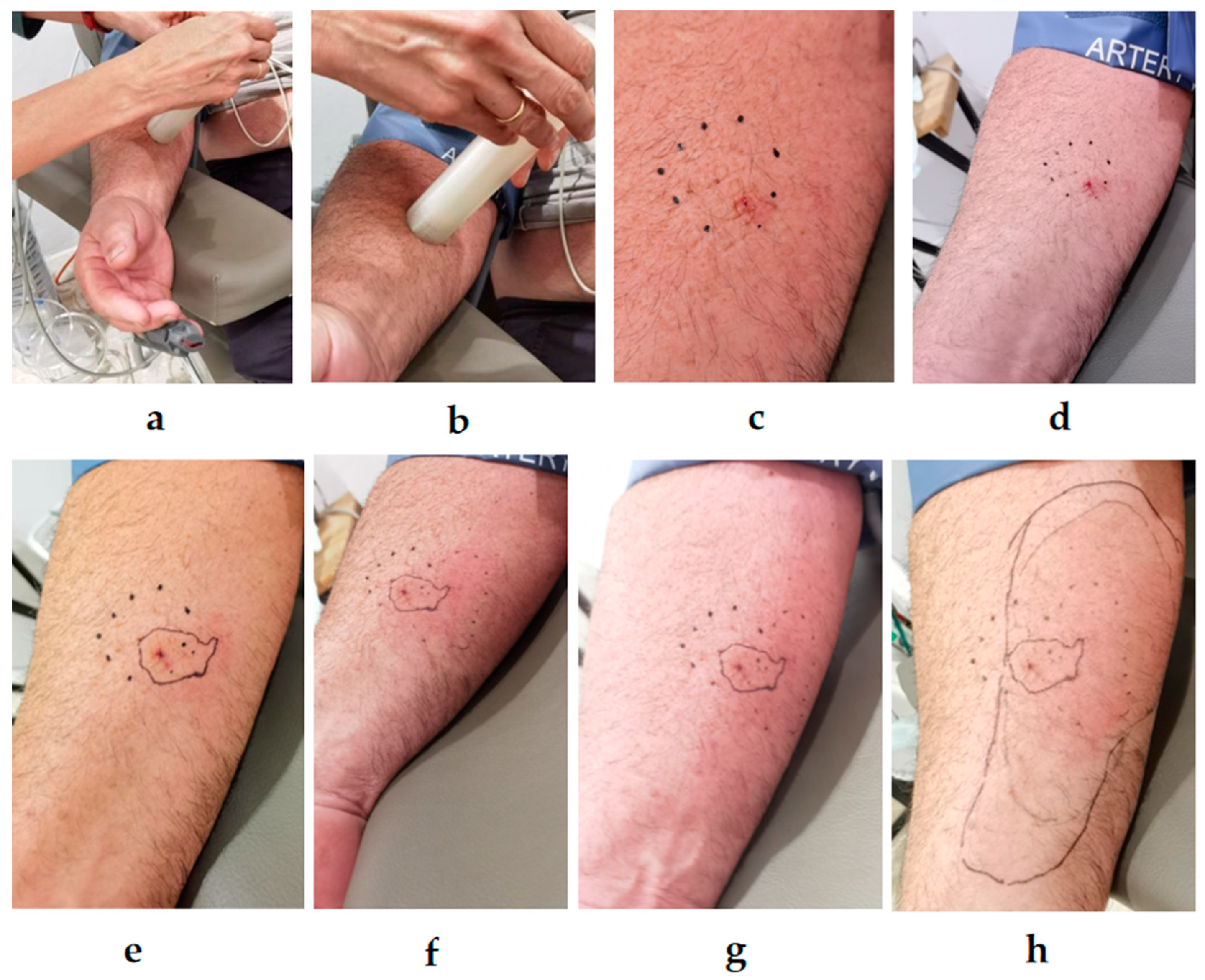 Preprints 158096 g003