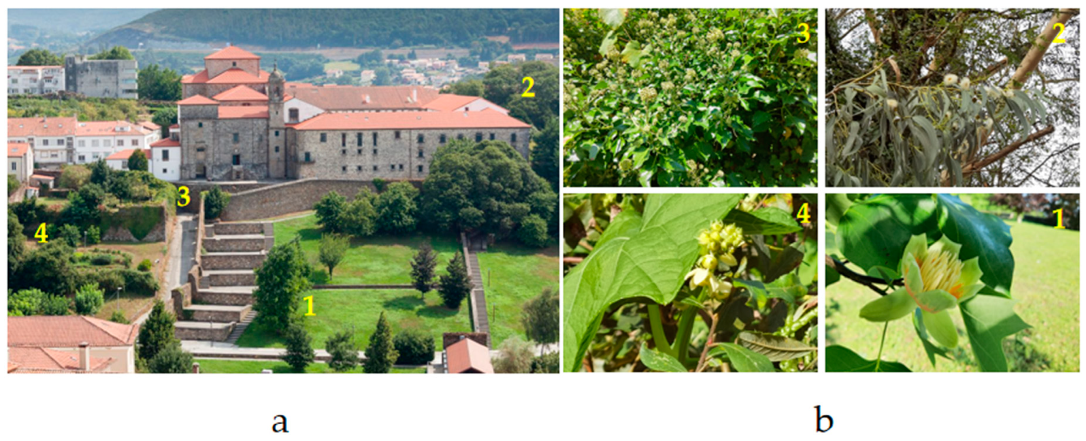 Preprints 158096 g006