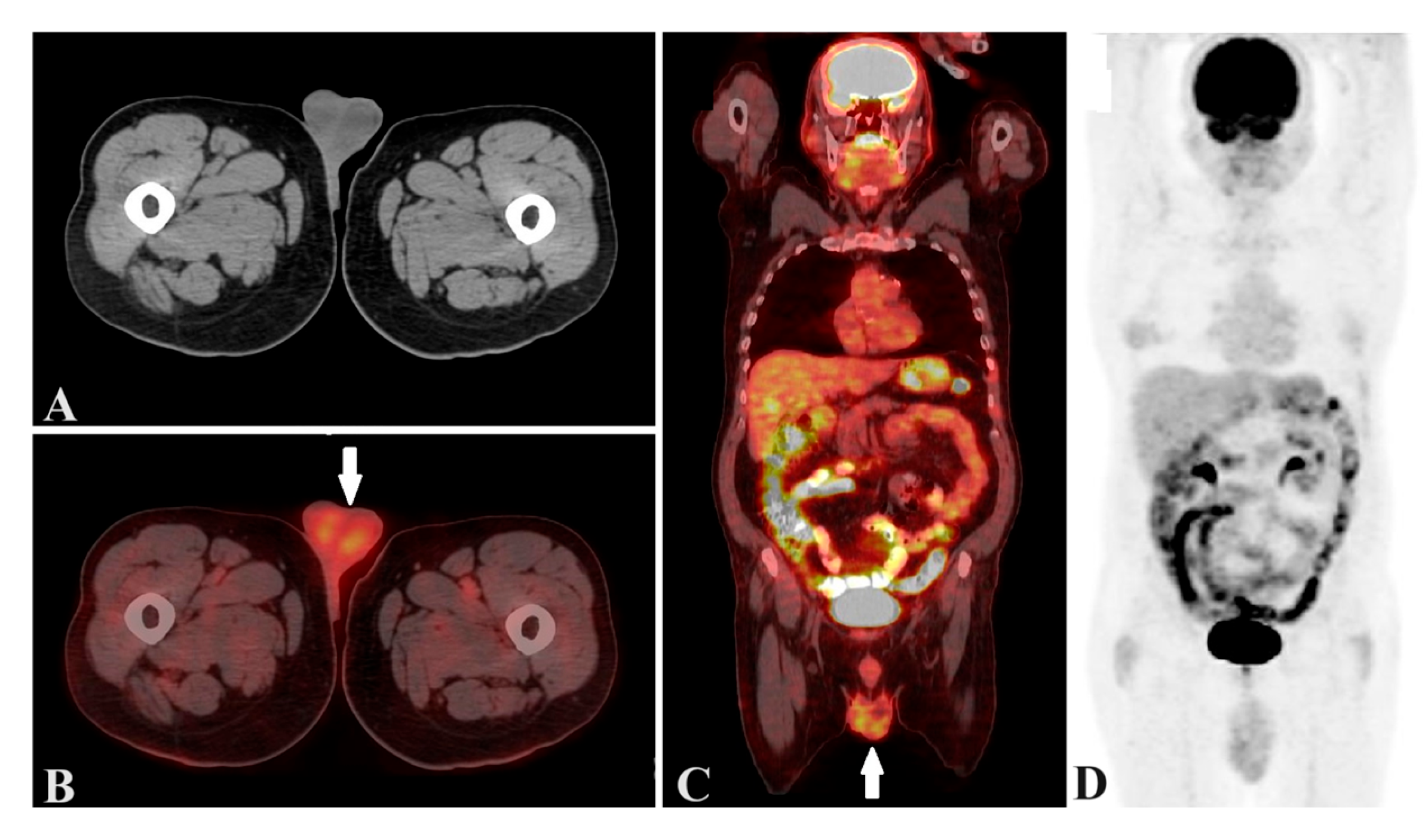 Preprints 198528 g001