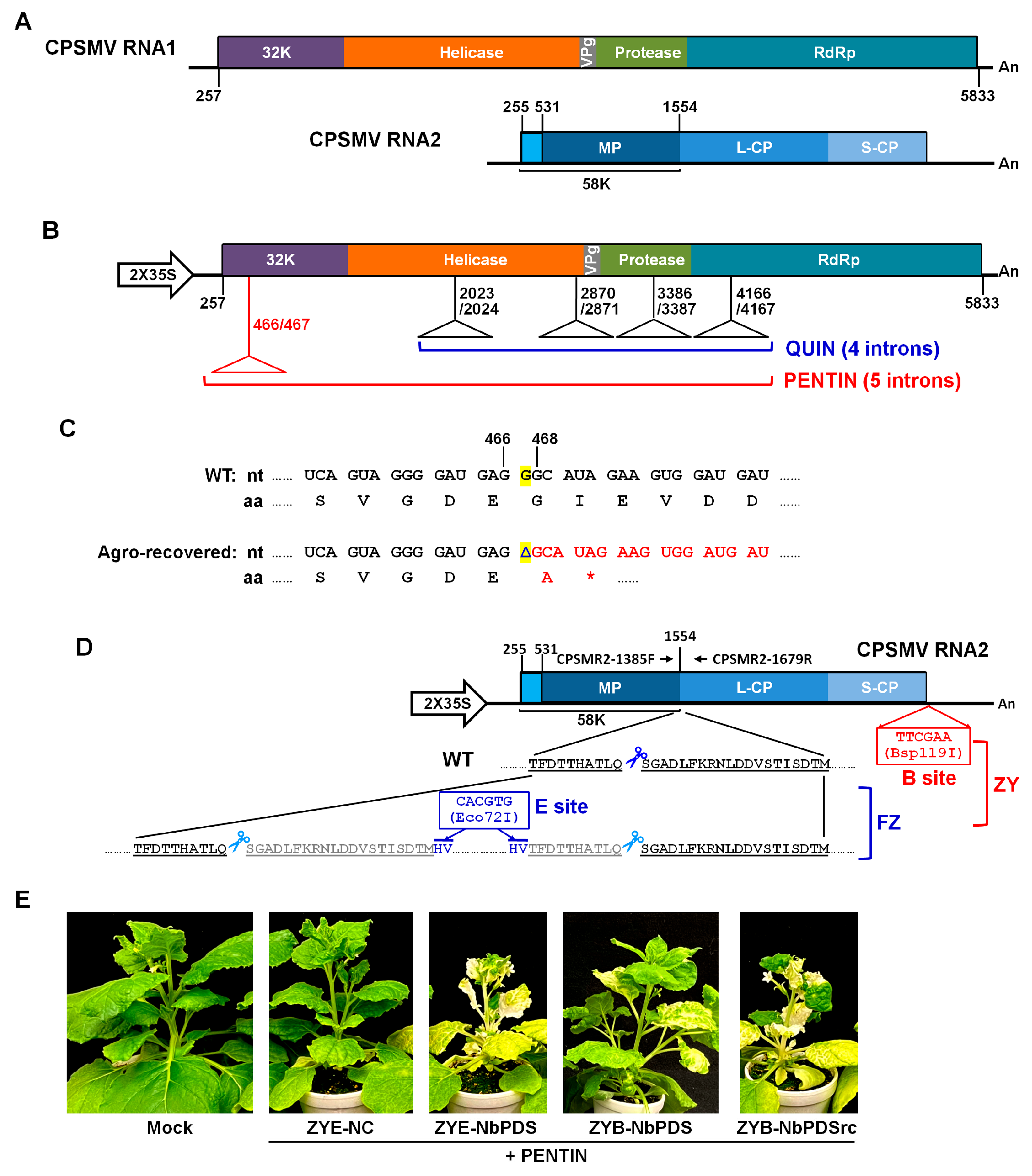 Preprints 203042 g001