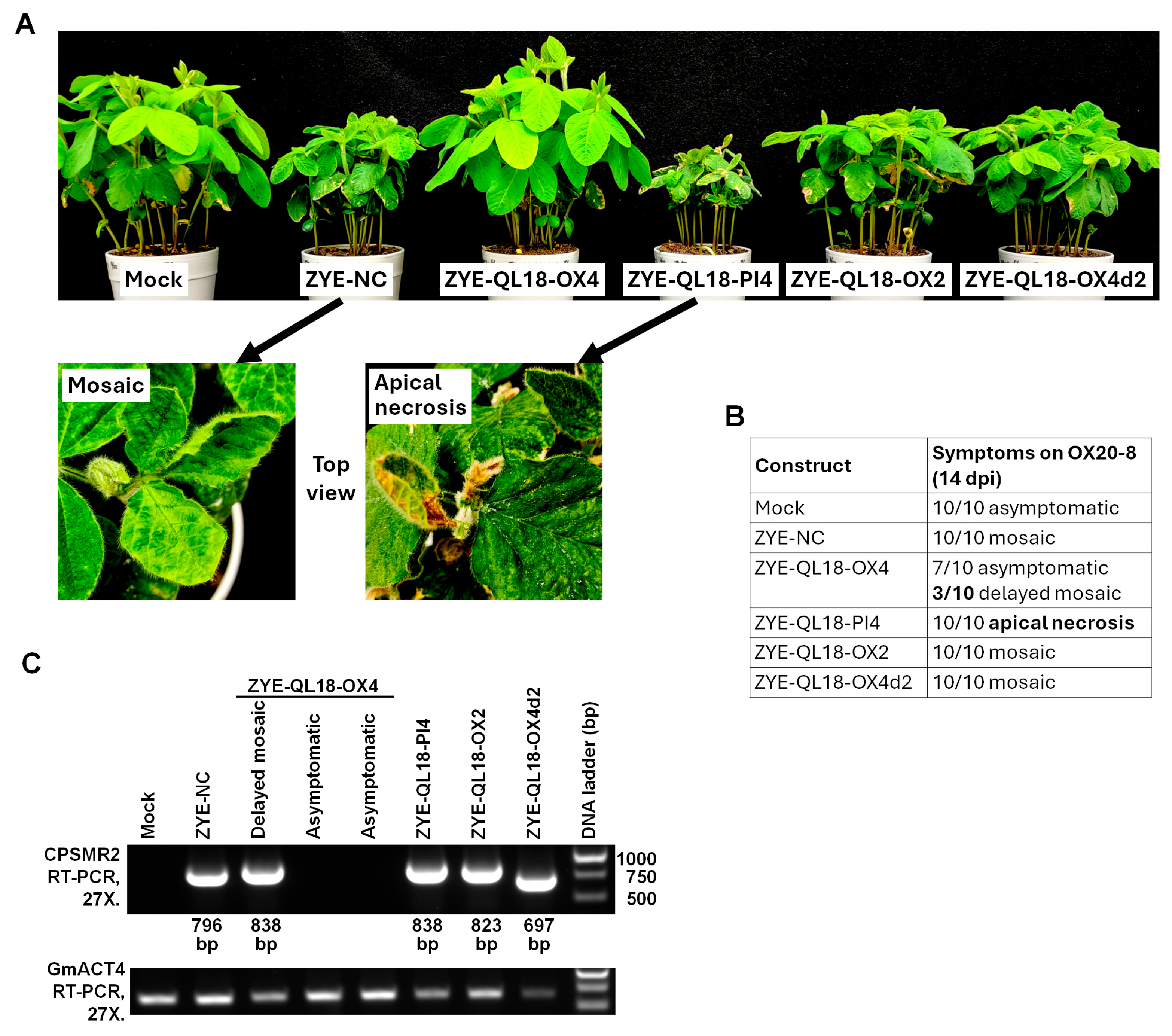 Preprints 203042 g003