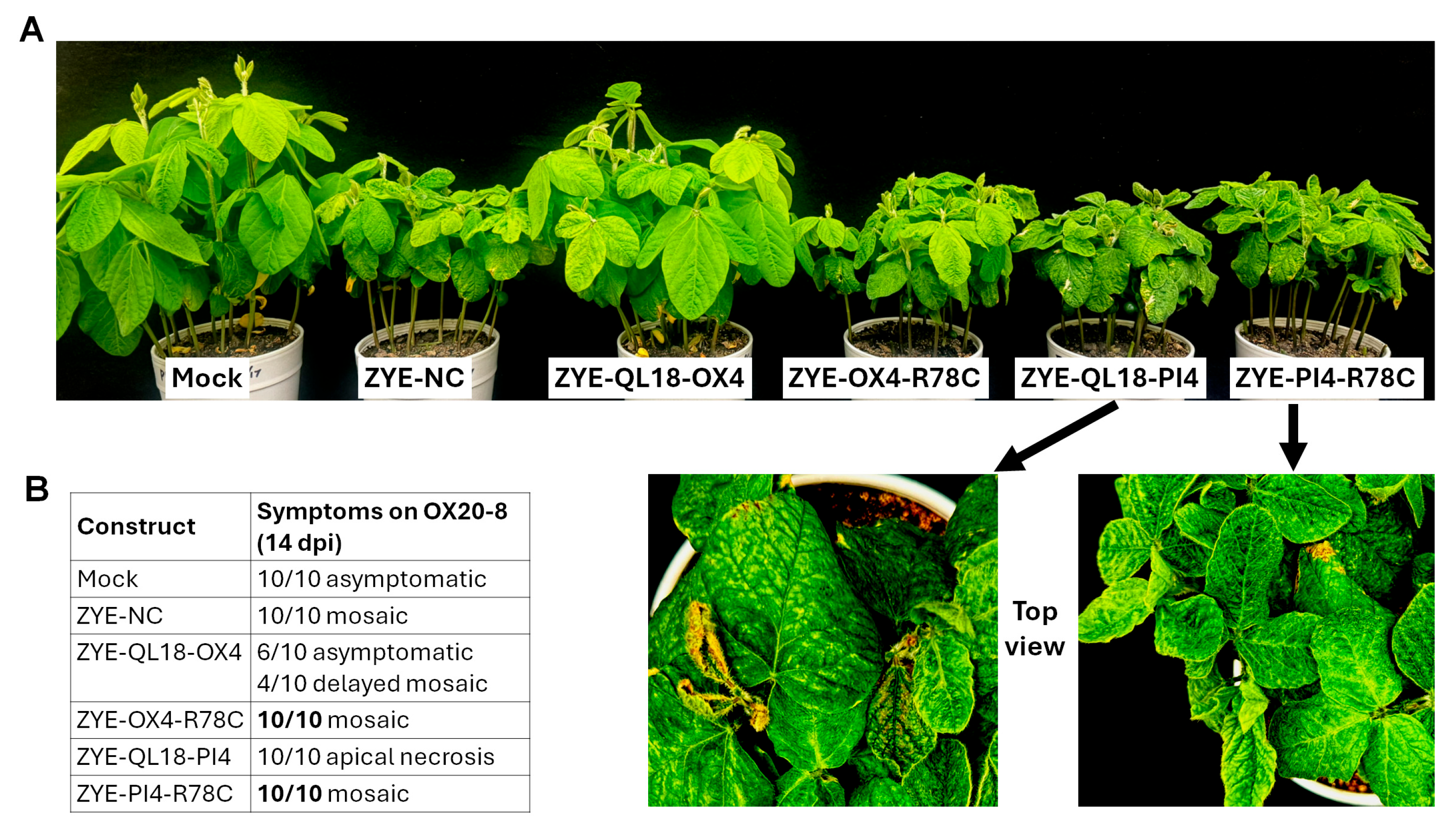 Preprints 203042 g005