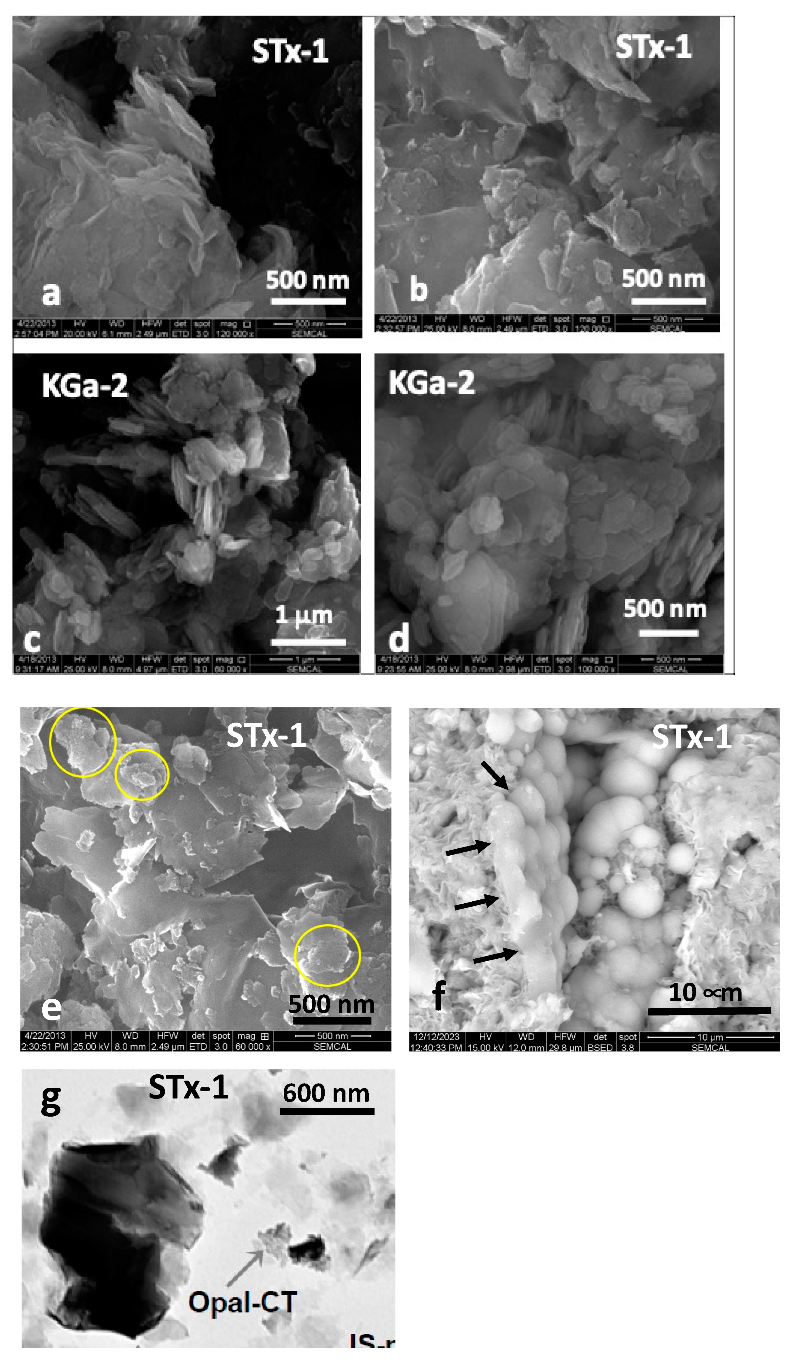 Preprints 144019 g001