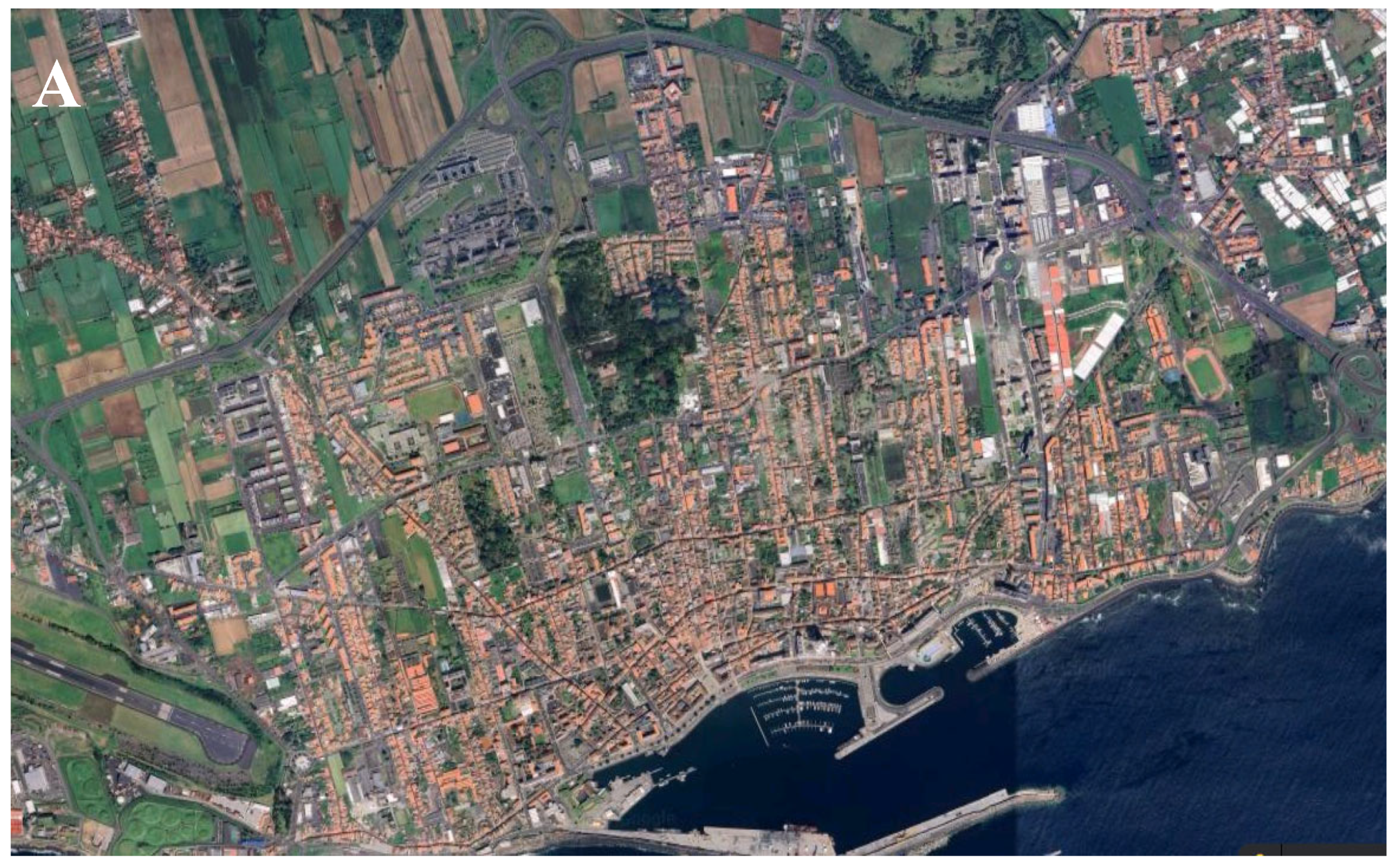 Preprints 142452 g001a