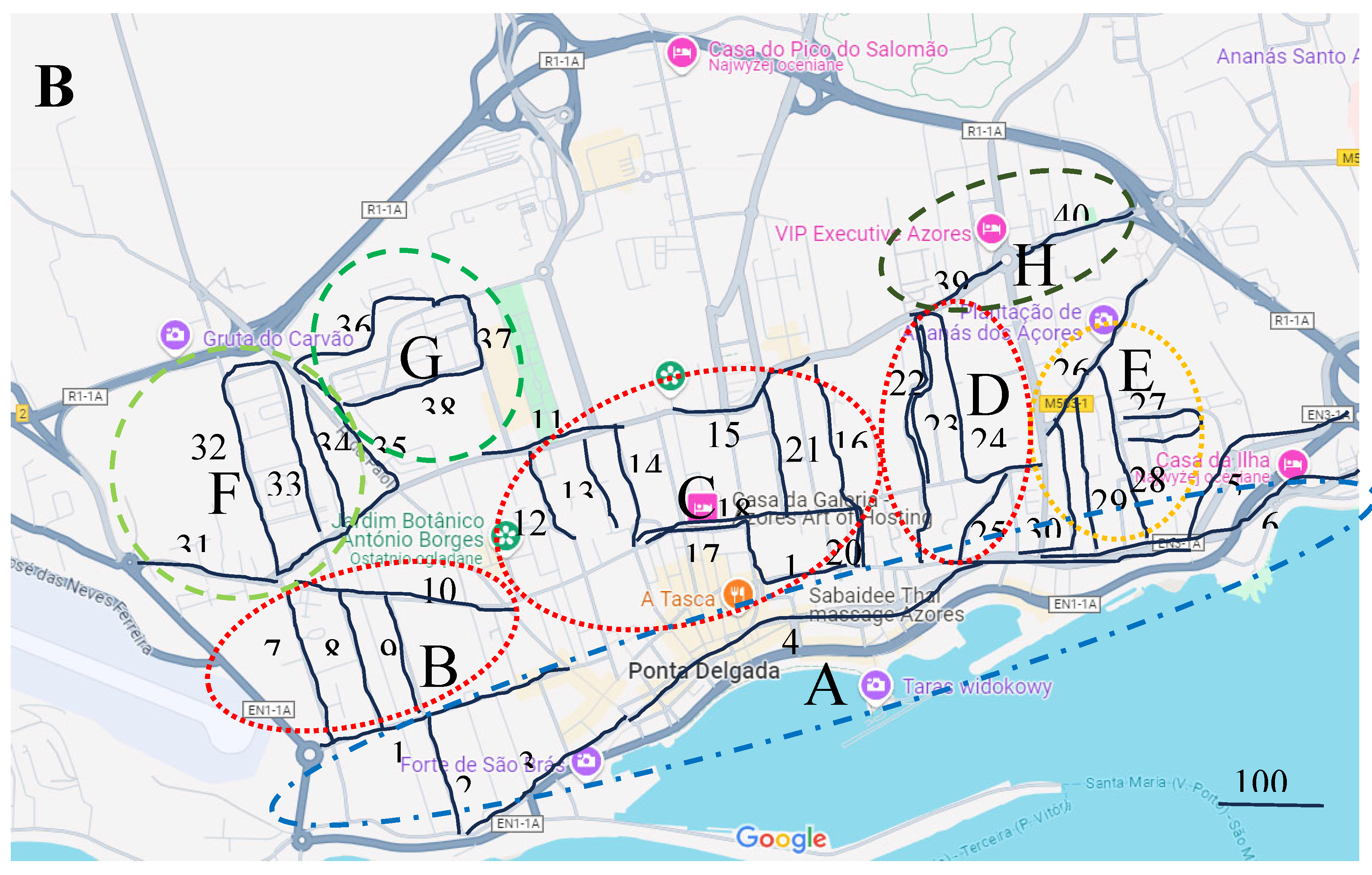 Preprints 142452 g001b