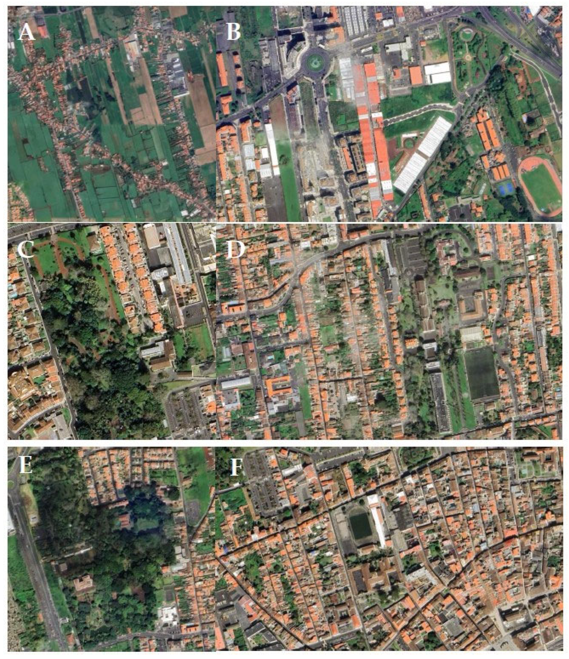 Preprints 142452 g002