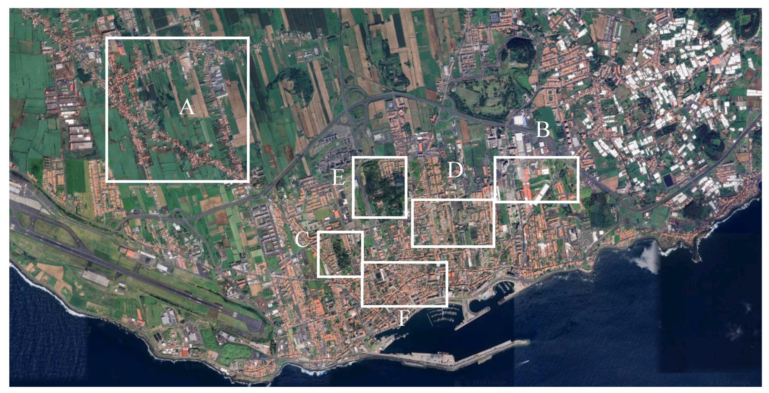 Preprints 142452 g003