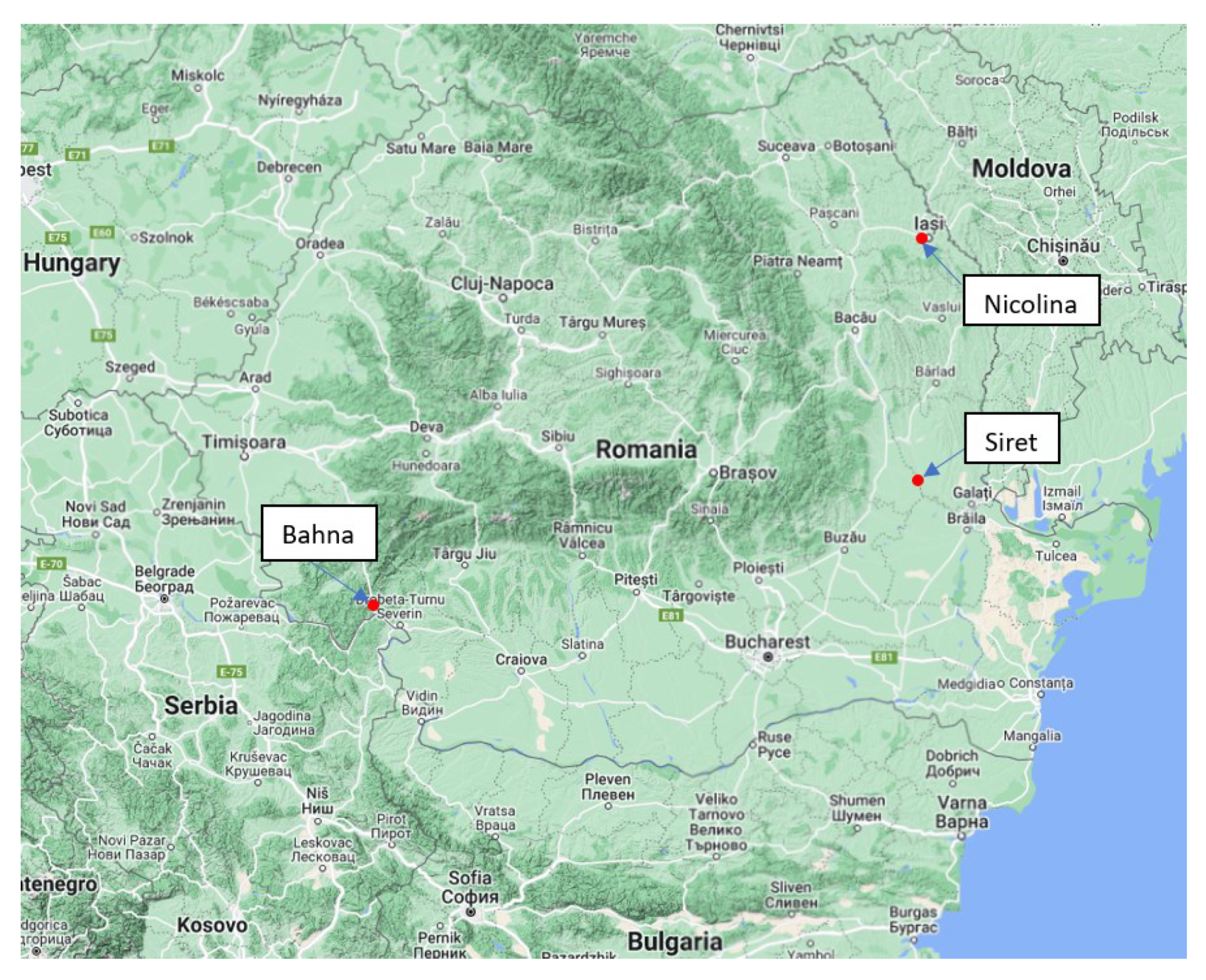 Preprints 98530 g003