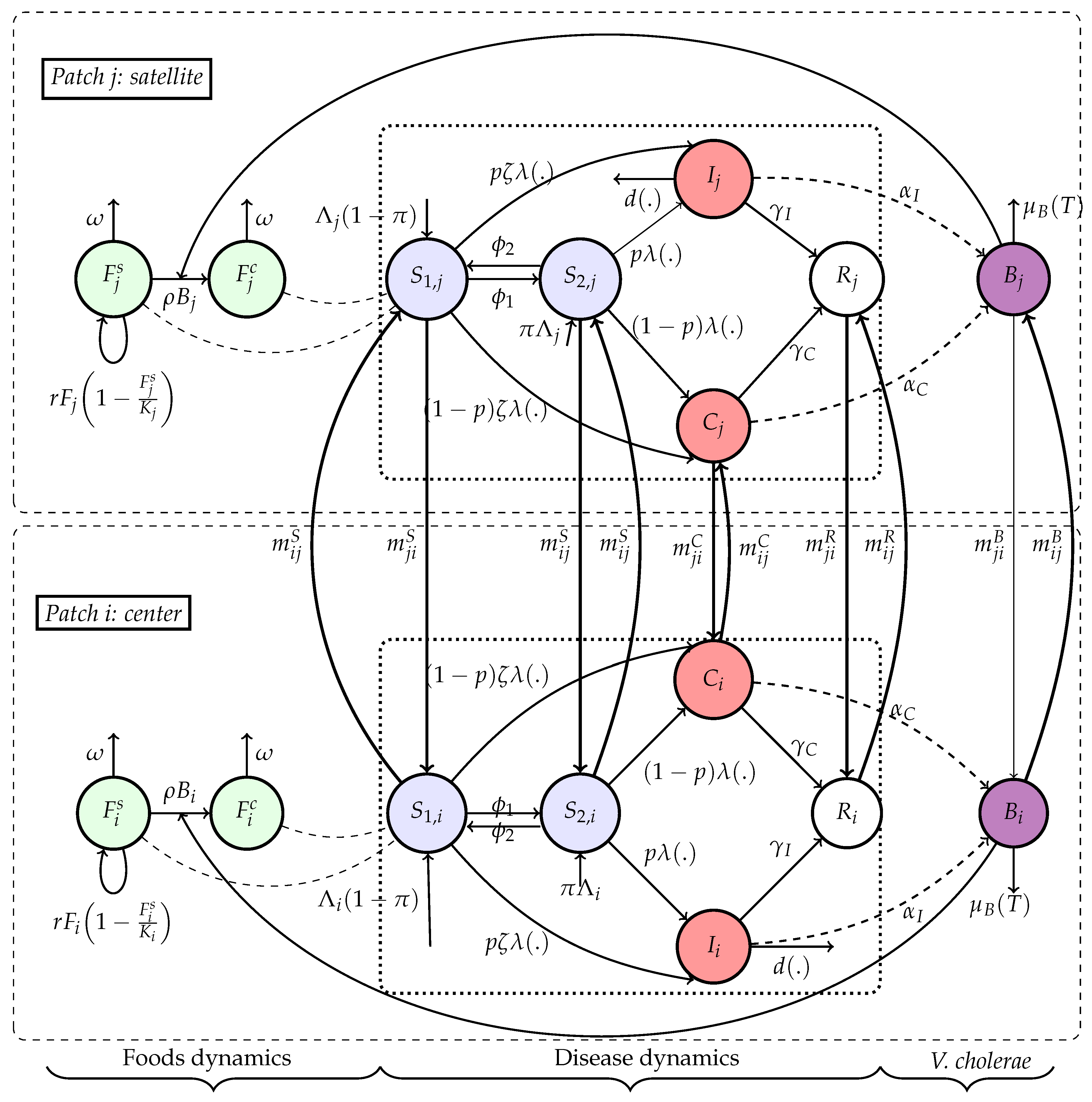 Preprints 172284 g005