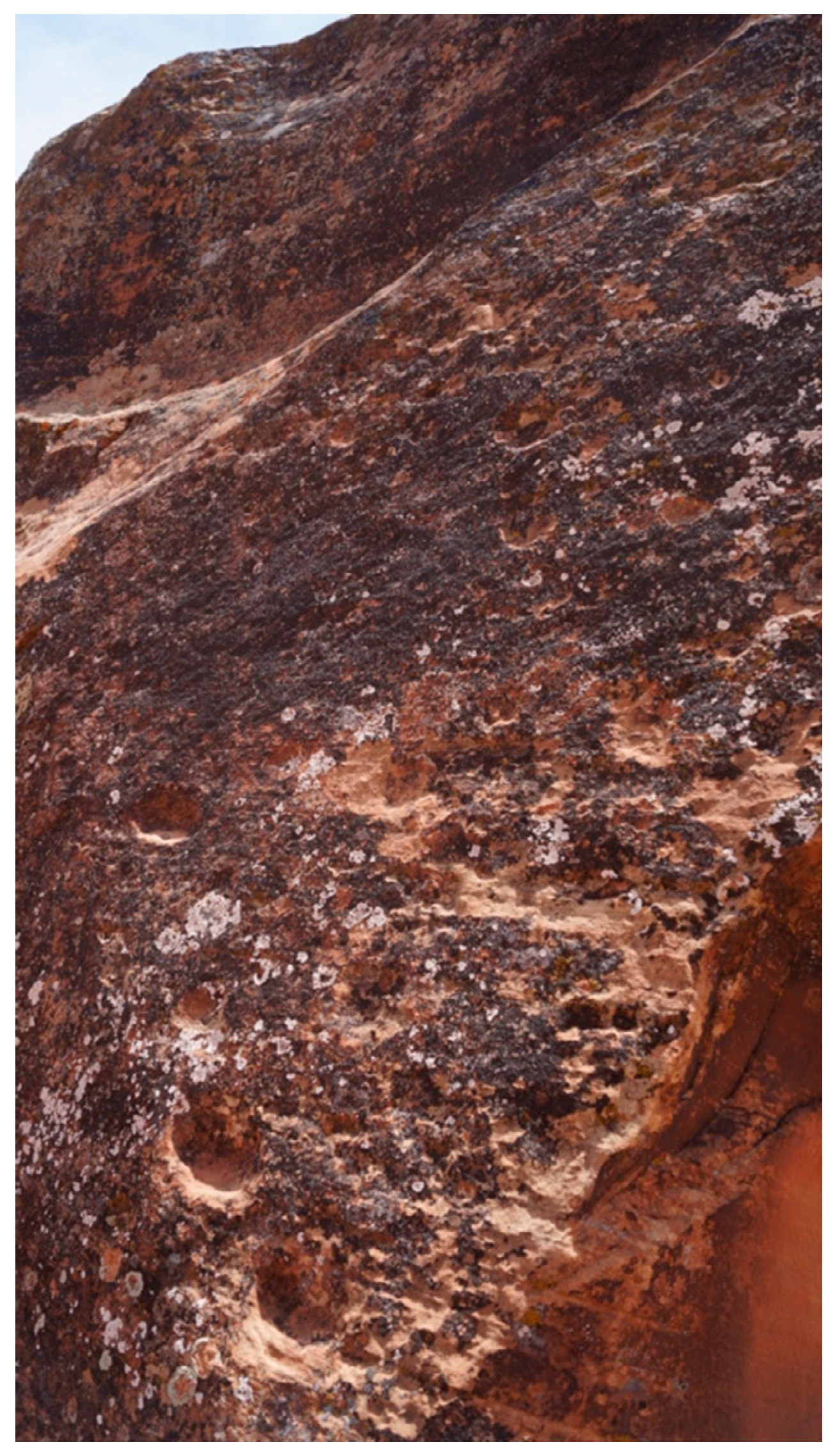 Preprints 143147 g035