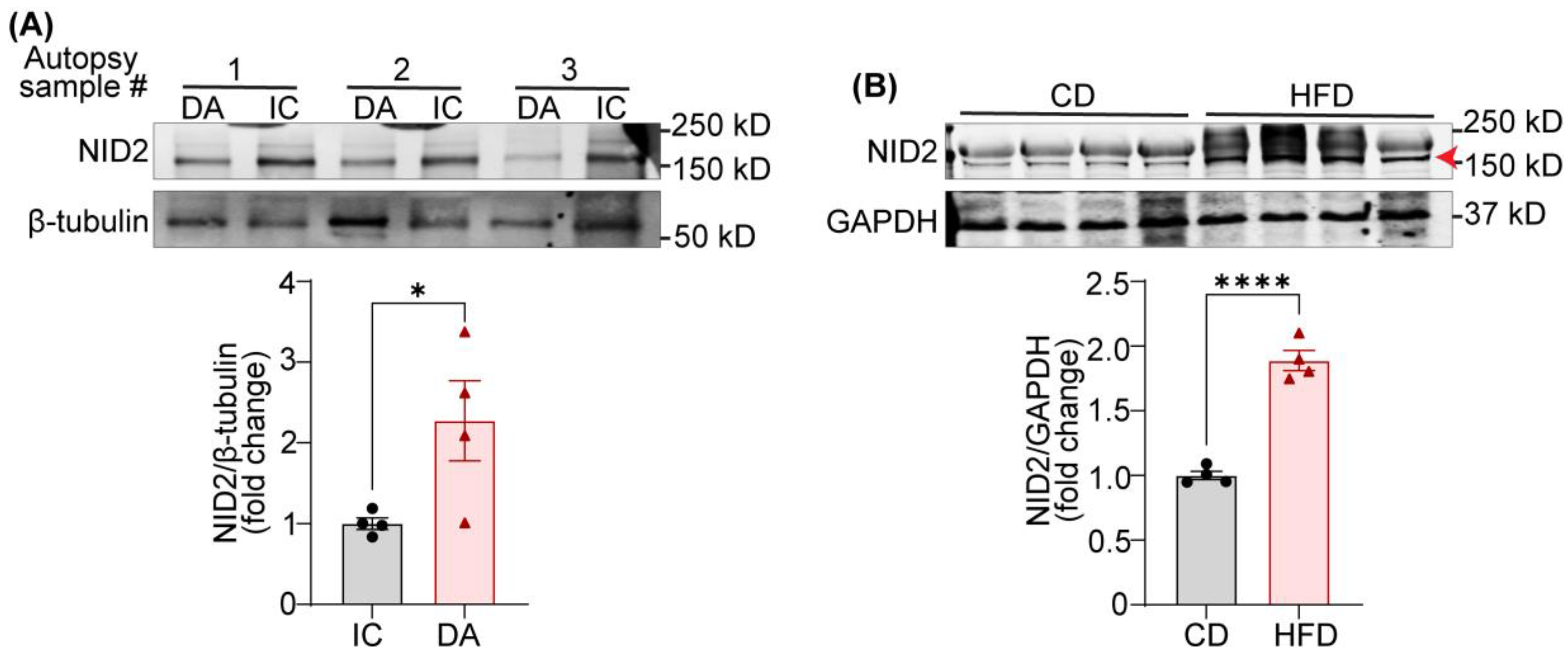 Preprints 137573 g001