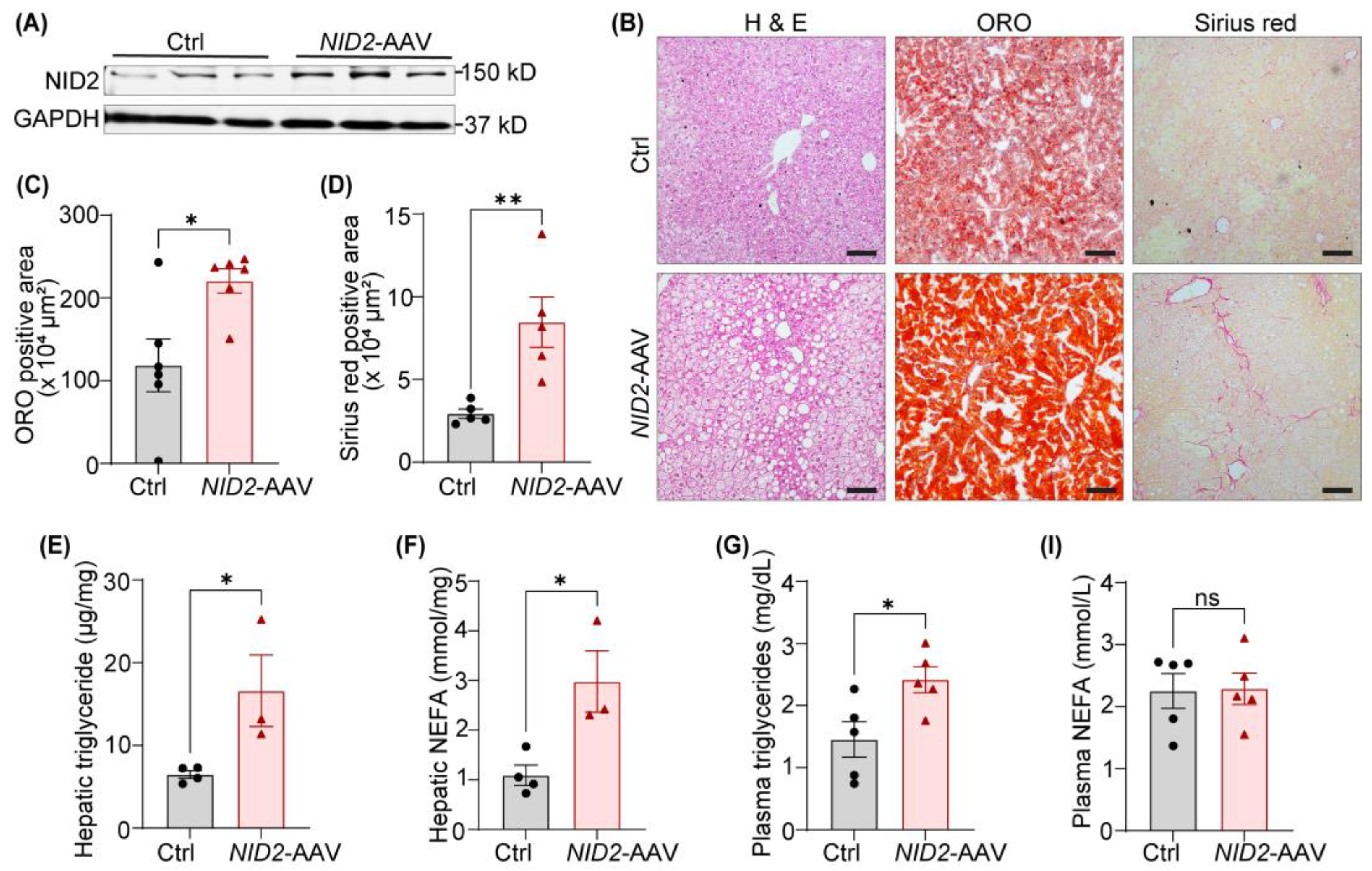 Preprints 137573 g003