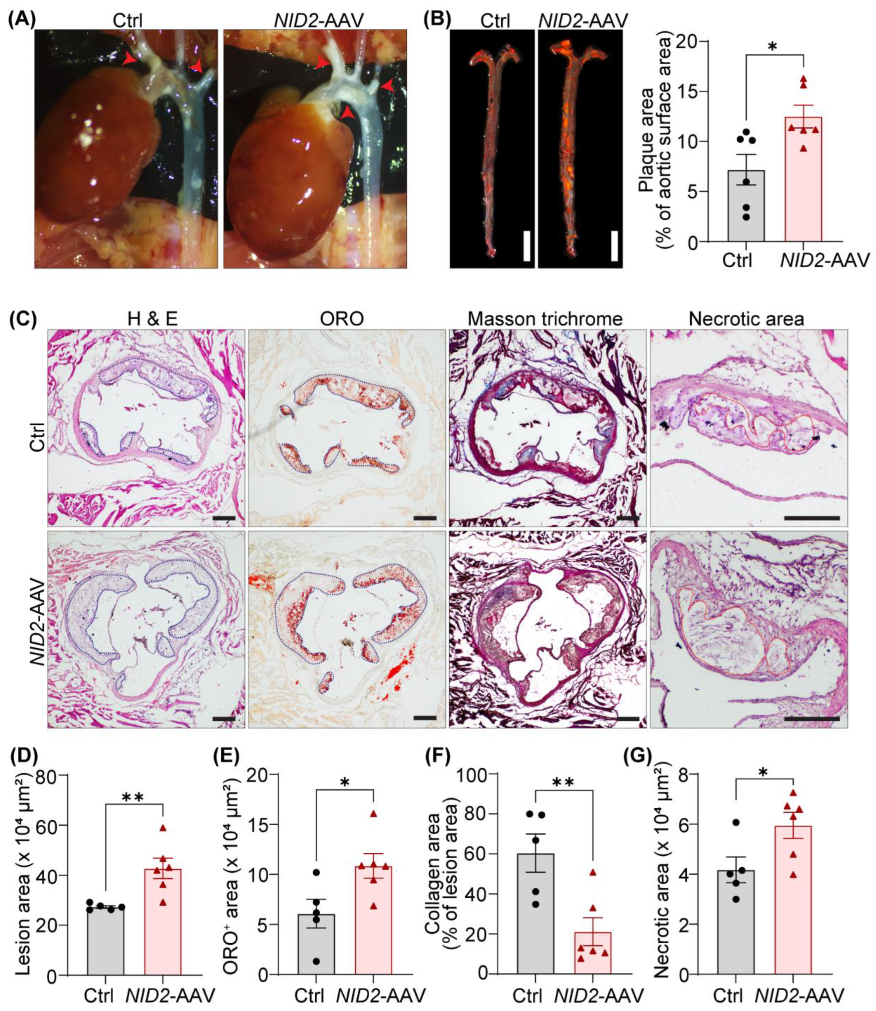 Preprints 137573 g004