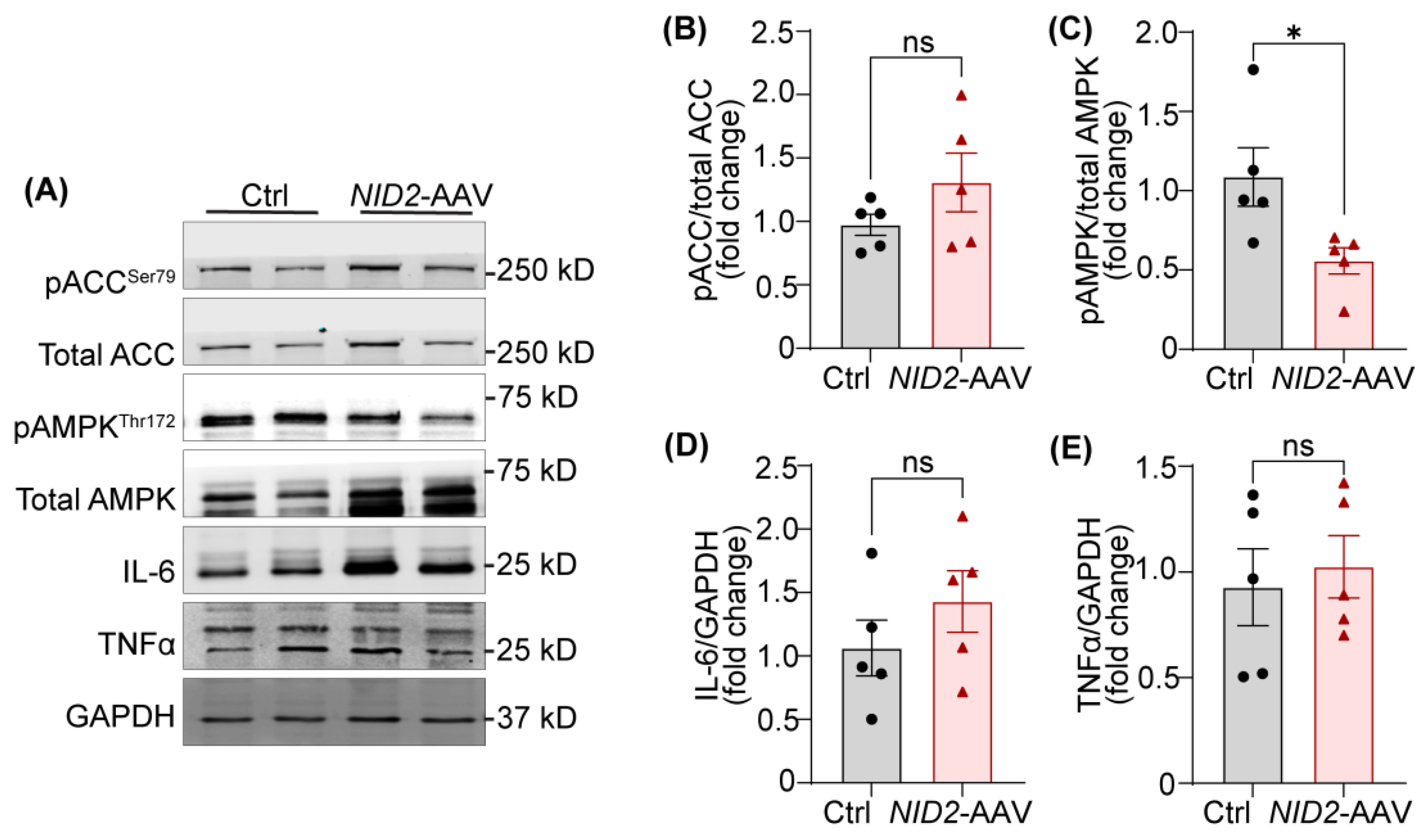 Preprints 137573 g005