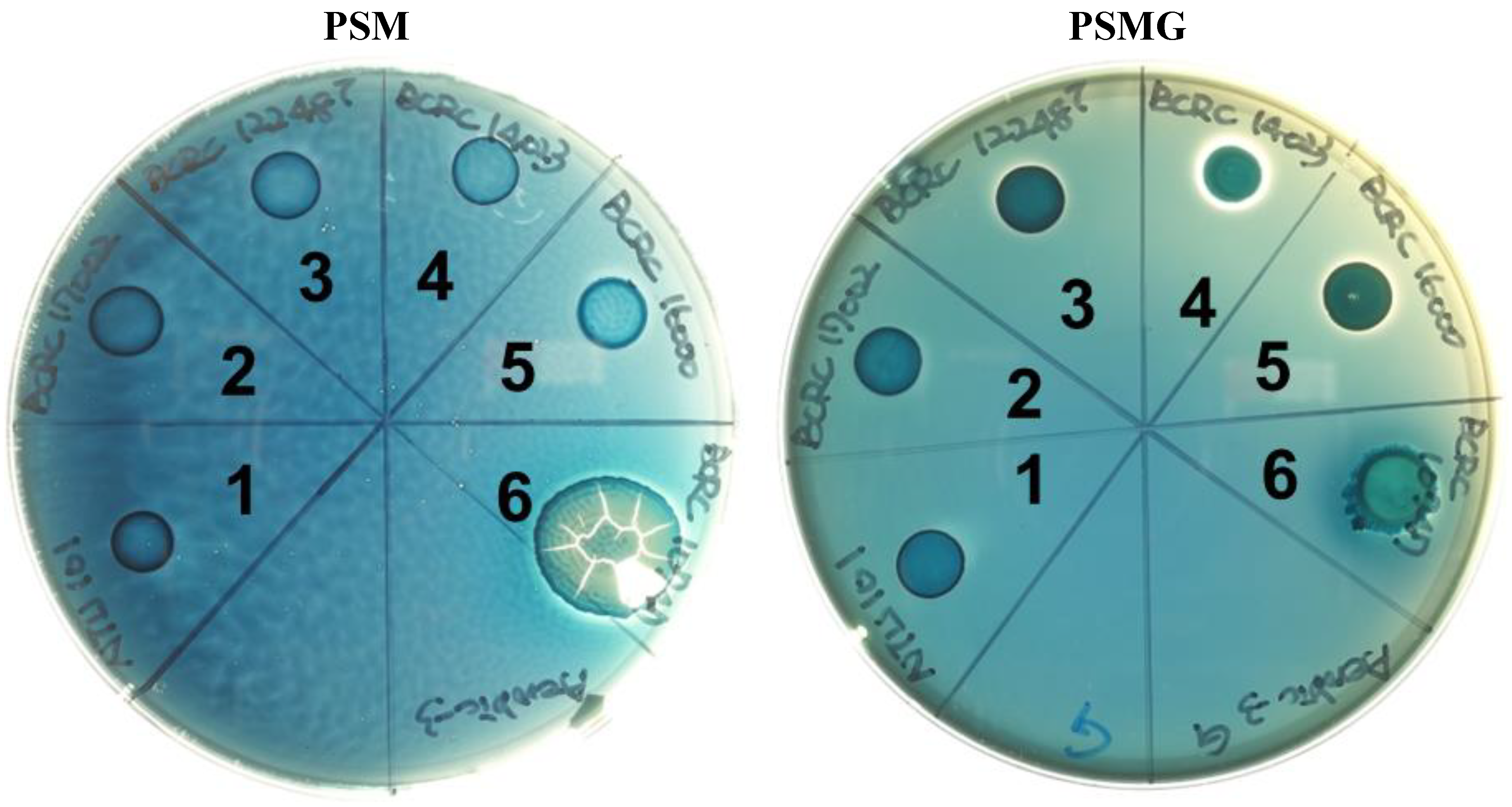 Preprints 119570 g002