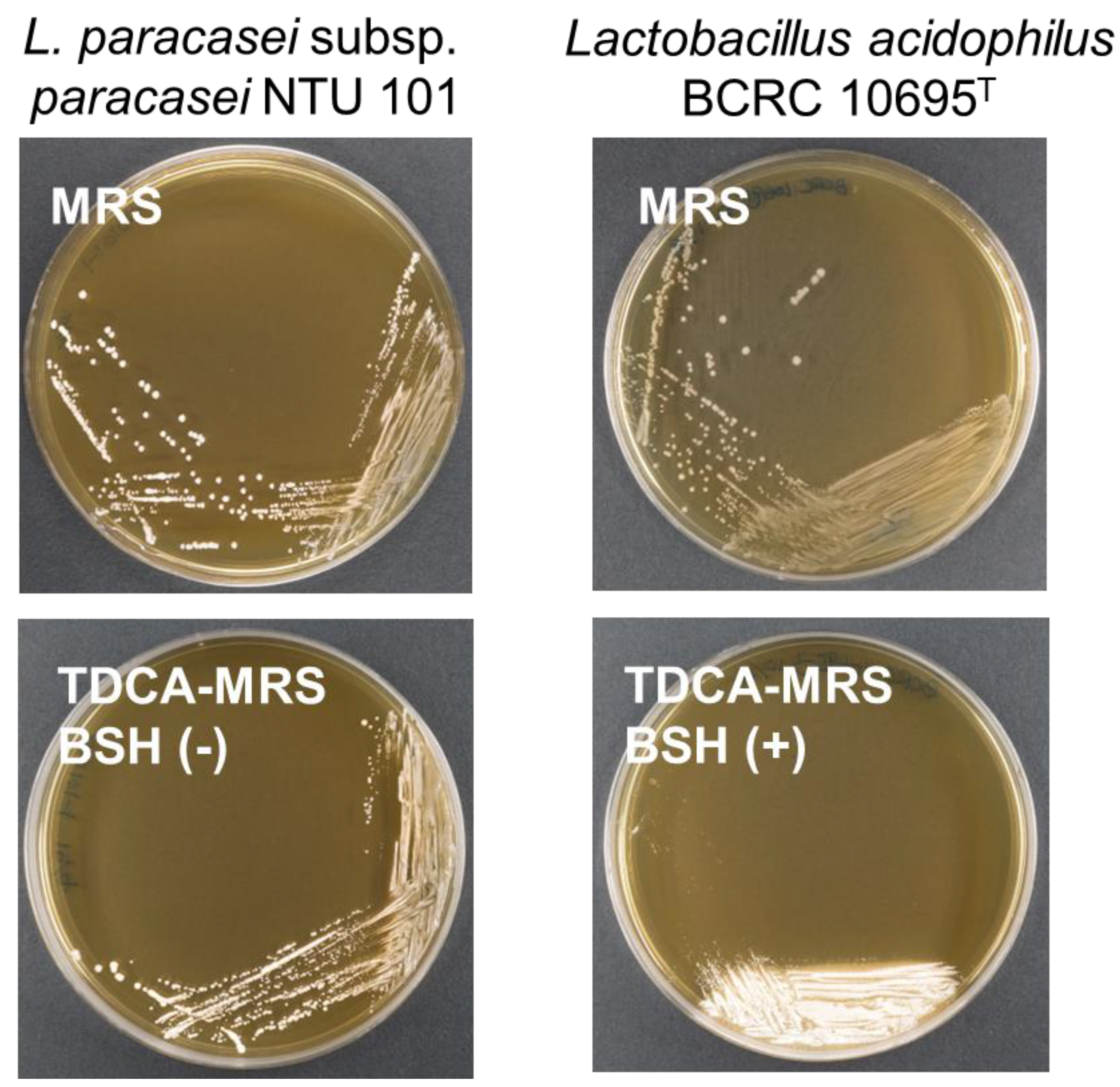 Preprints 119570 g003