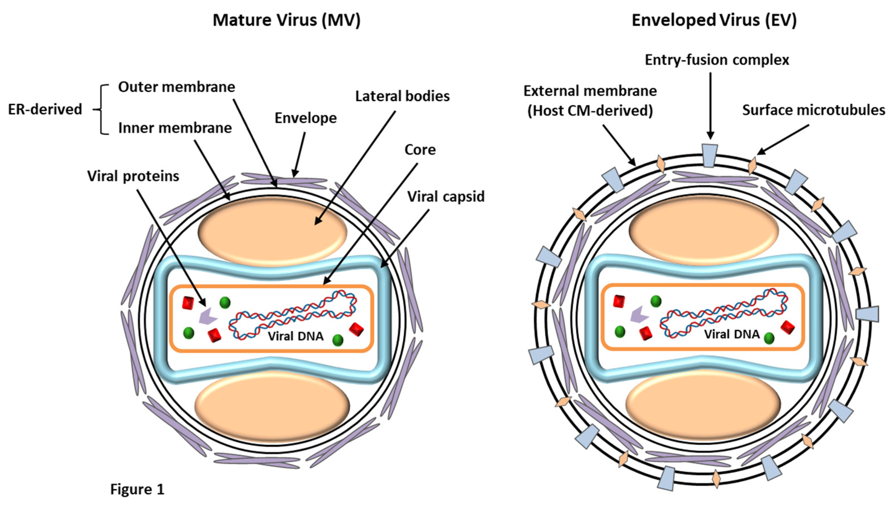 Preprints 68202 g001