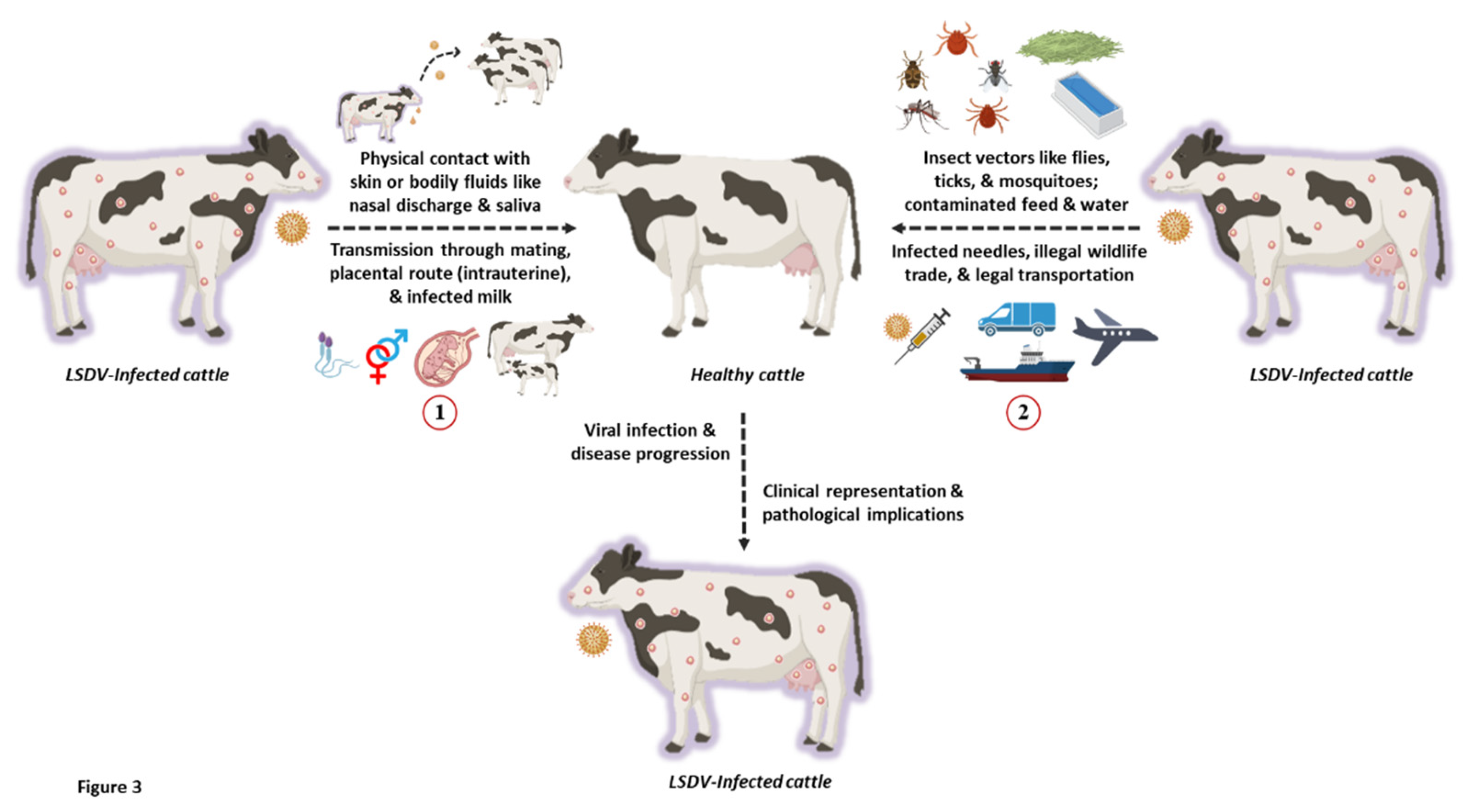 Preprints 68202 g003