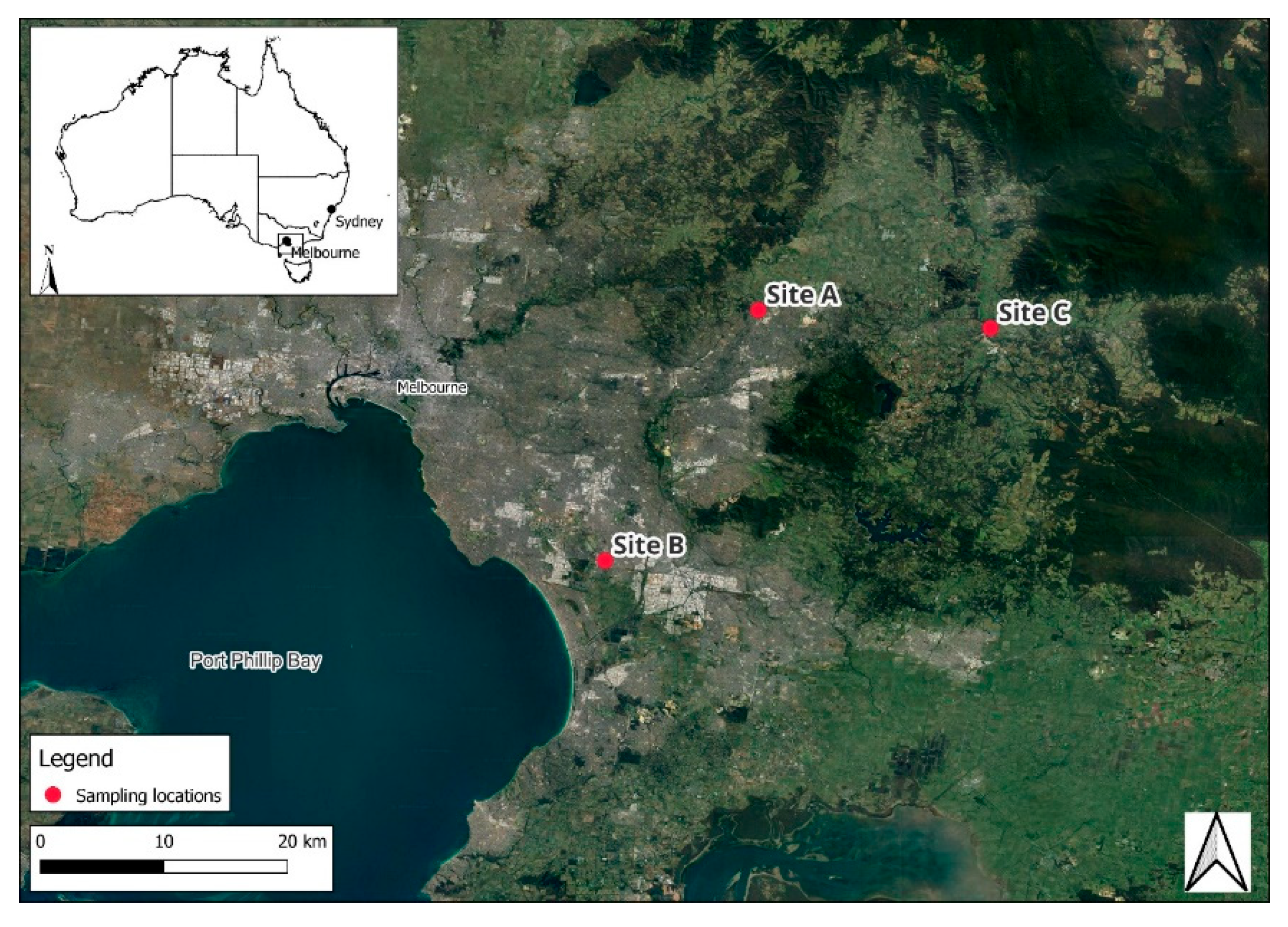 Preprints 191952 g003