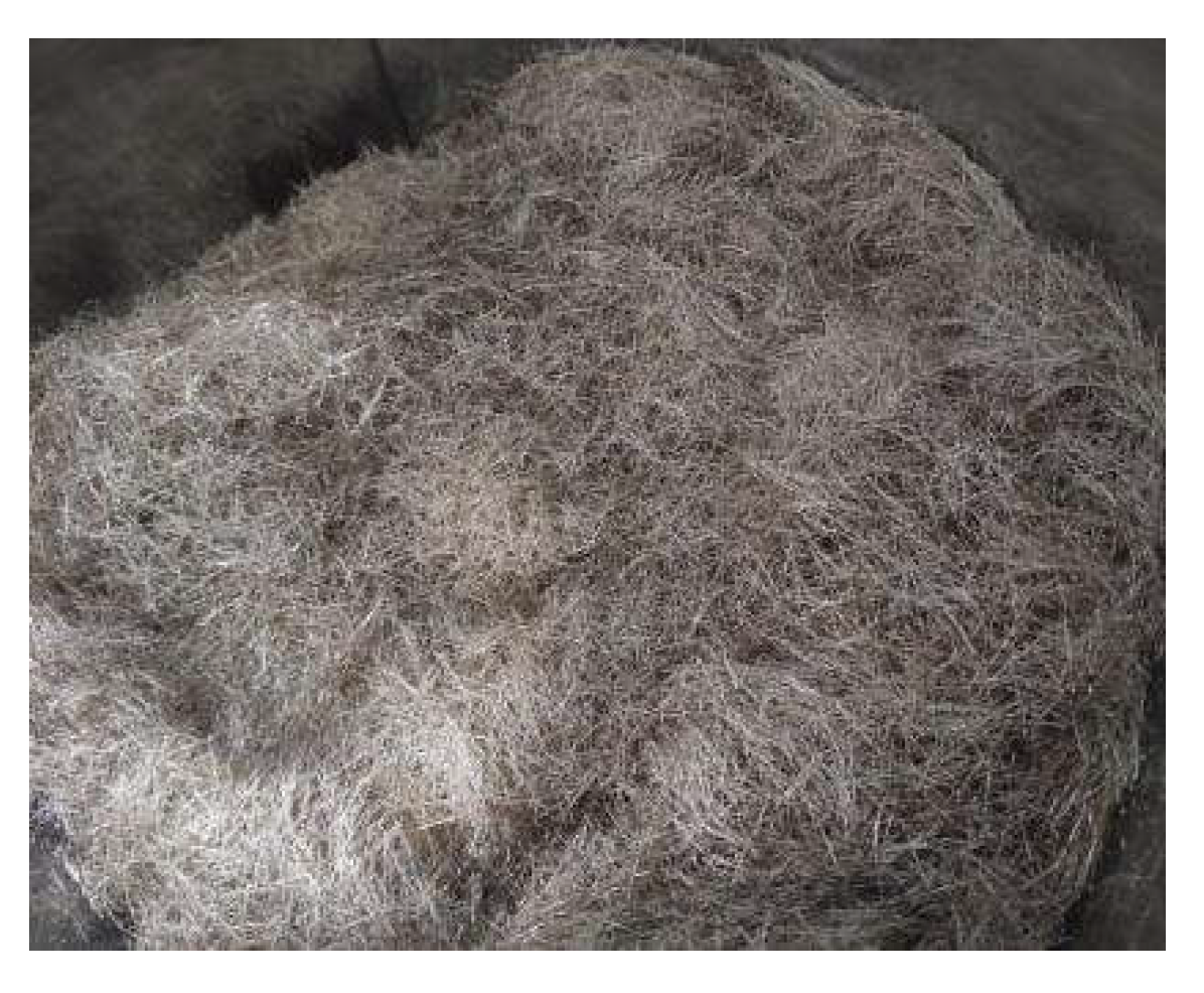 Preprints 111523 g003