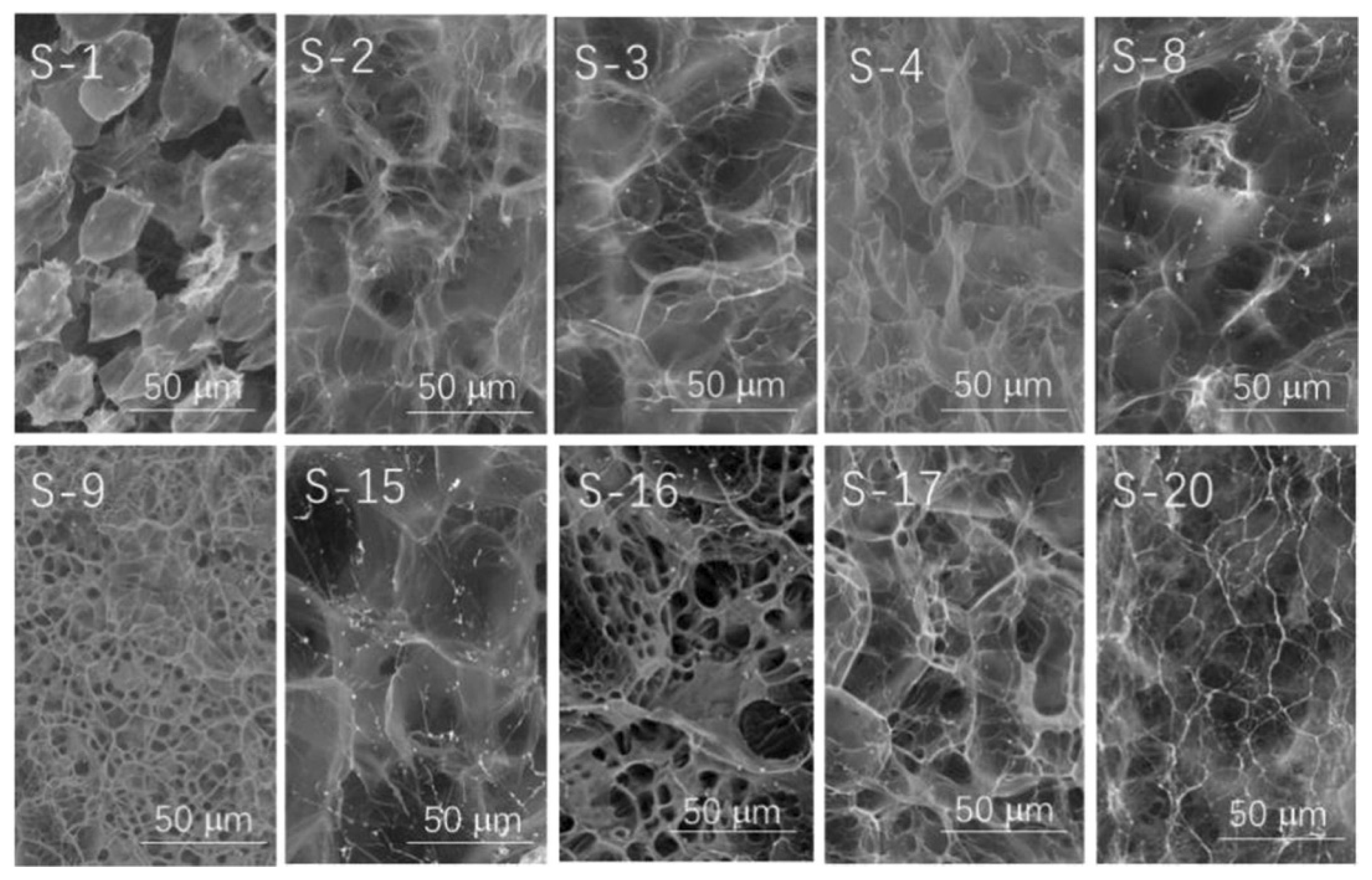 Preprints 118276 g007