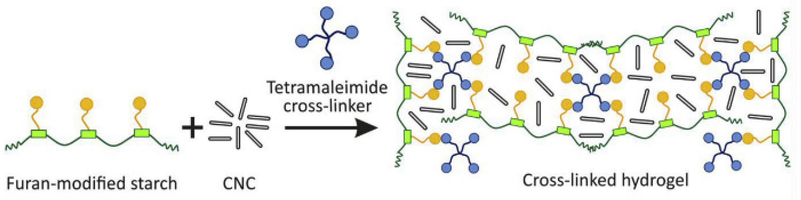 Preprints 118276 g008