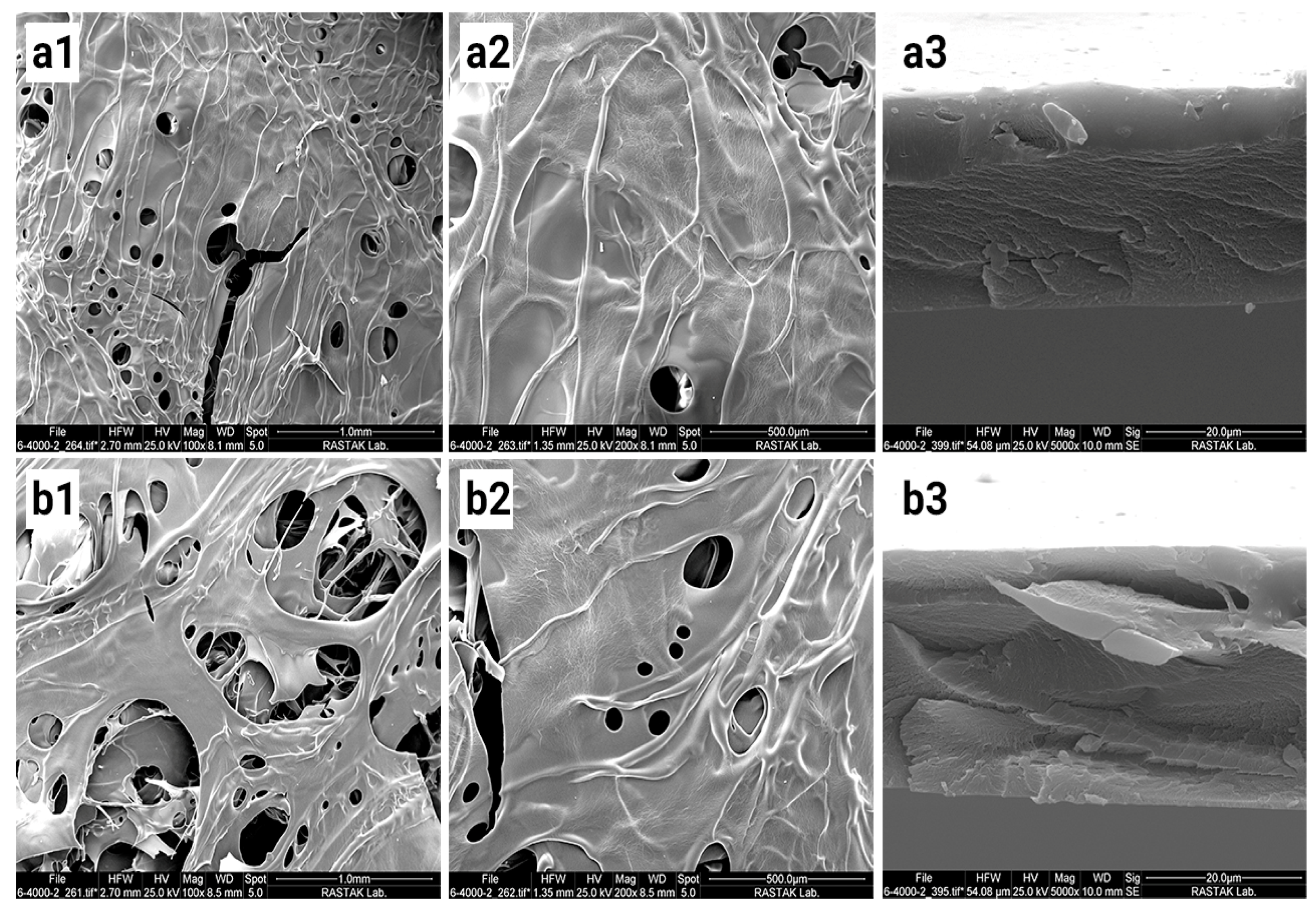Preprints 141836 g001