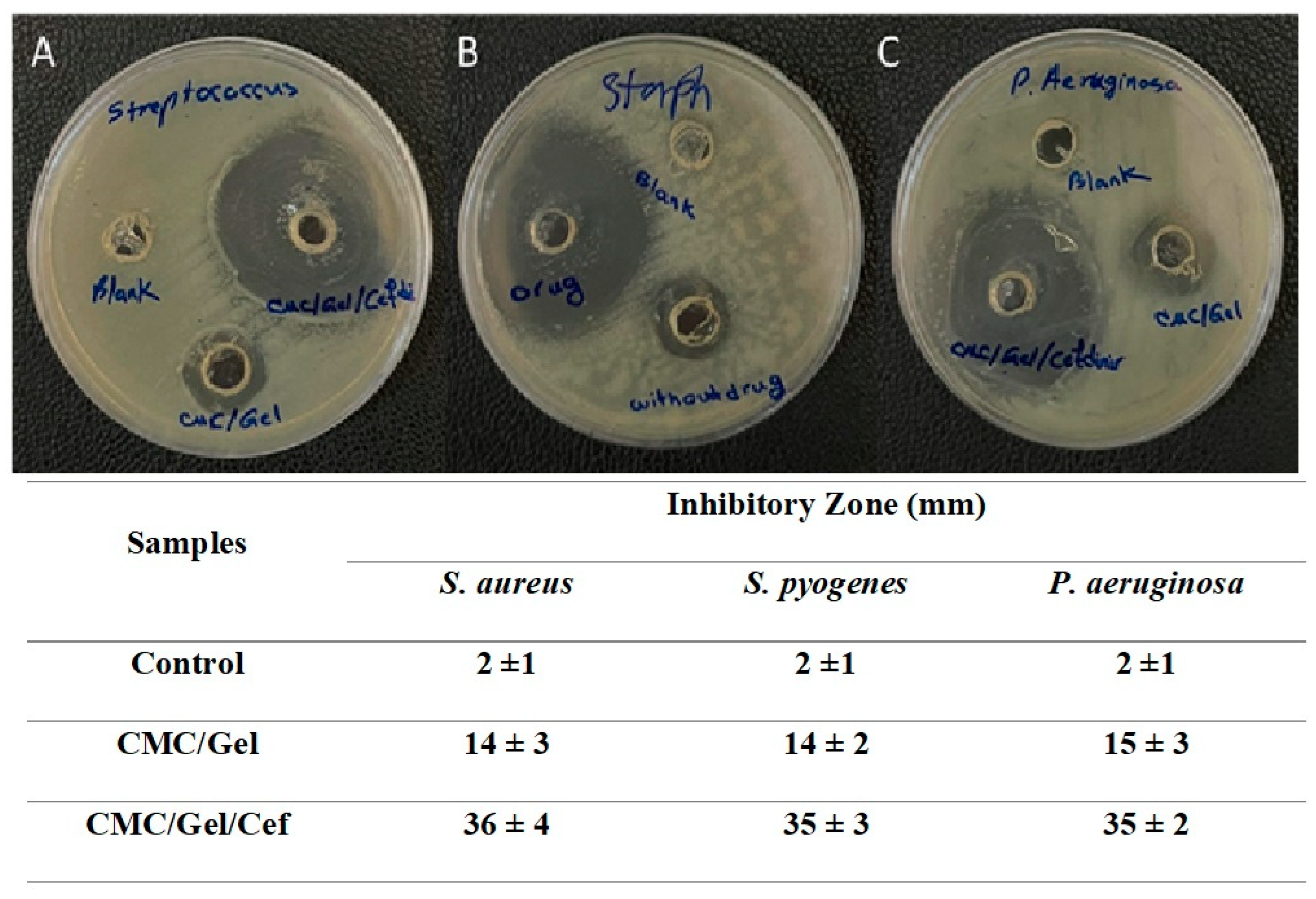 Preprints 141836 g006
