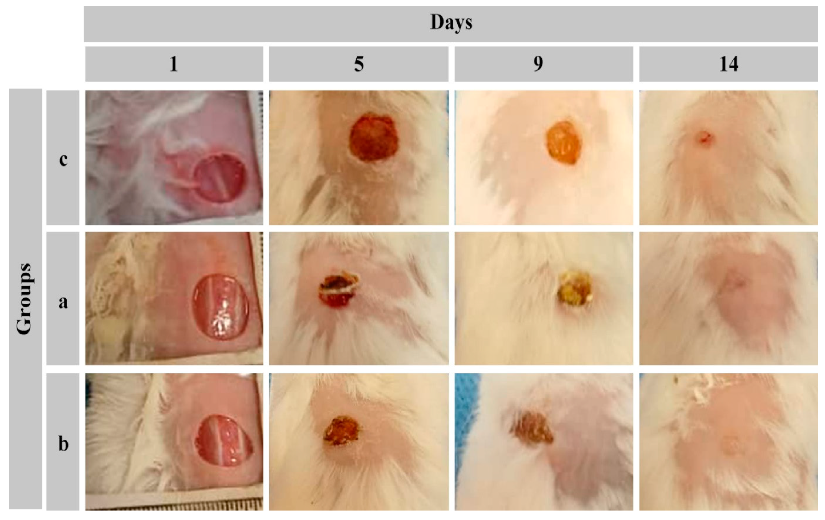 Preprints 141836 g008