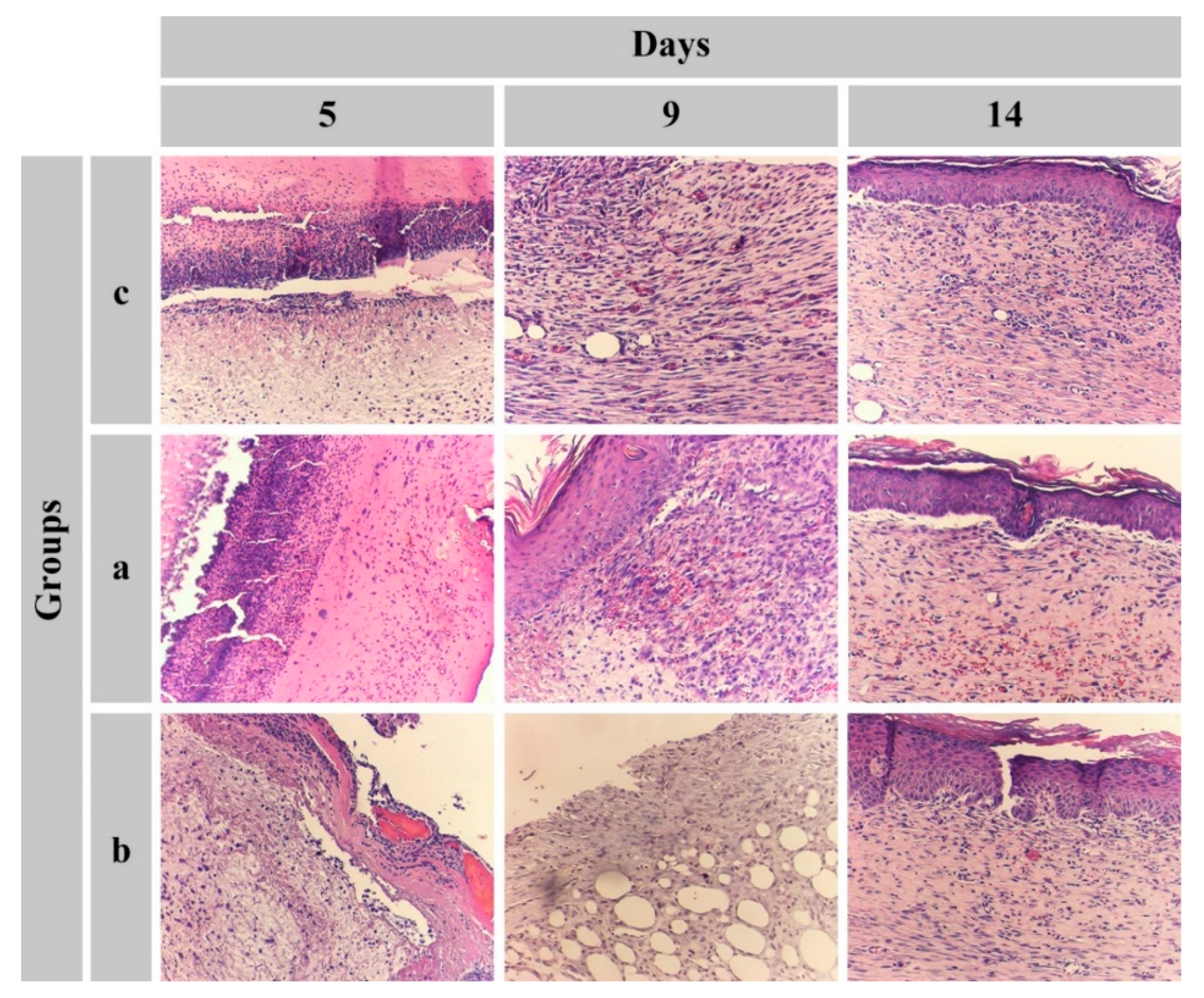 Preprints 141836 g010