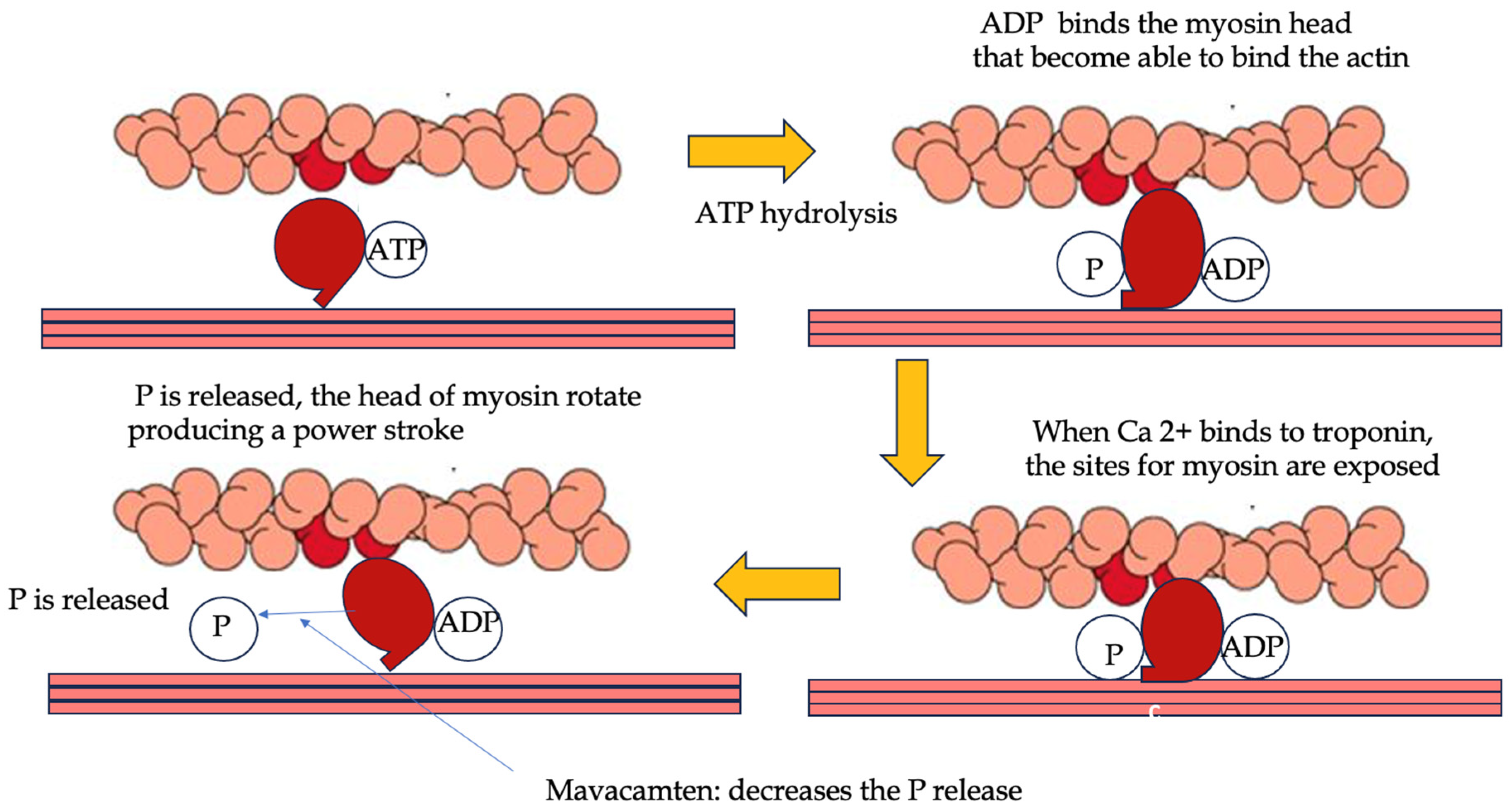 Preprints 157645 g002