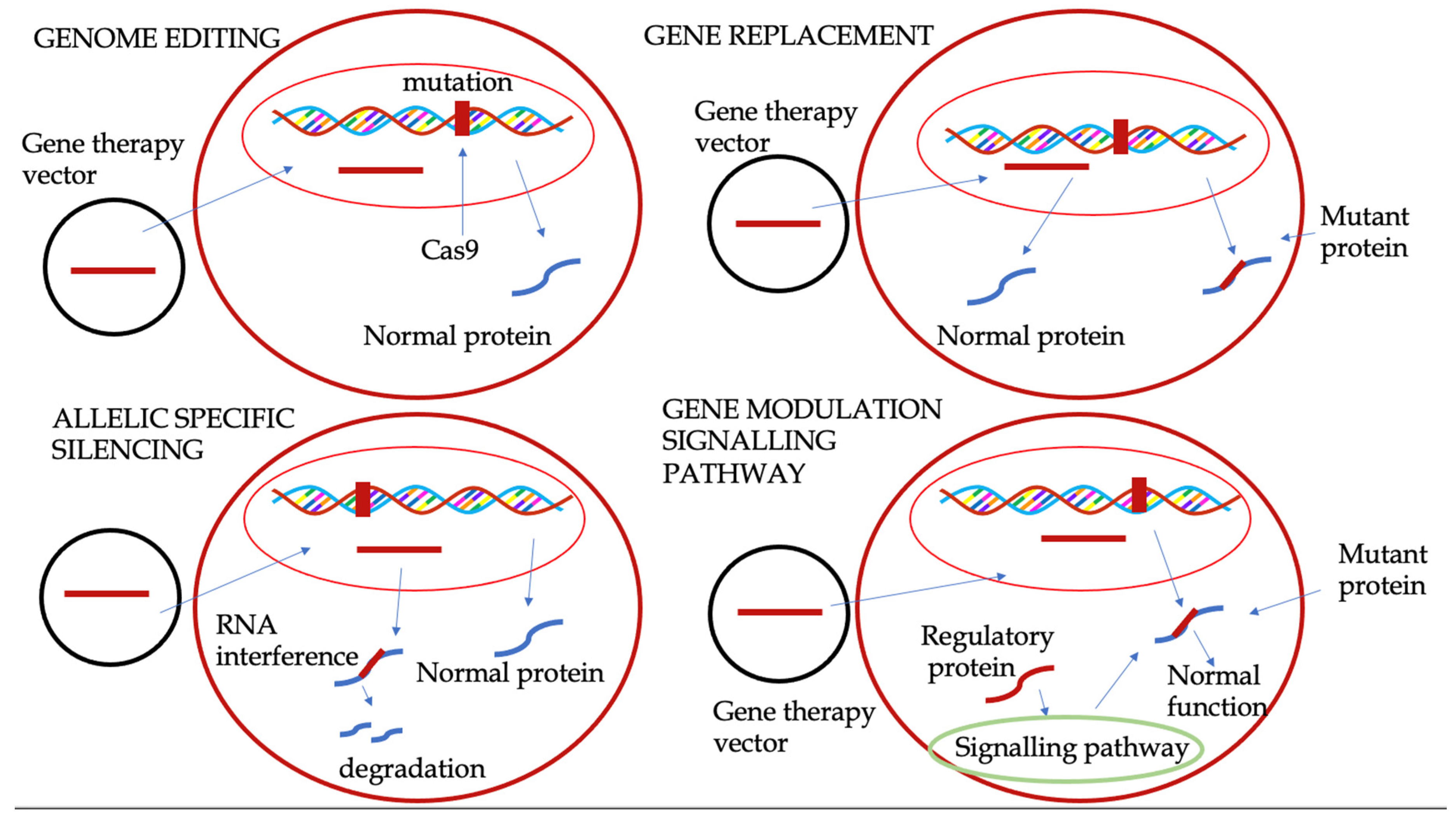 Preprints 157645 g003