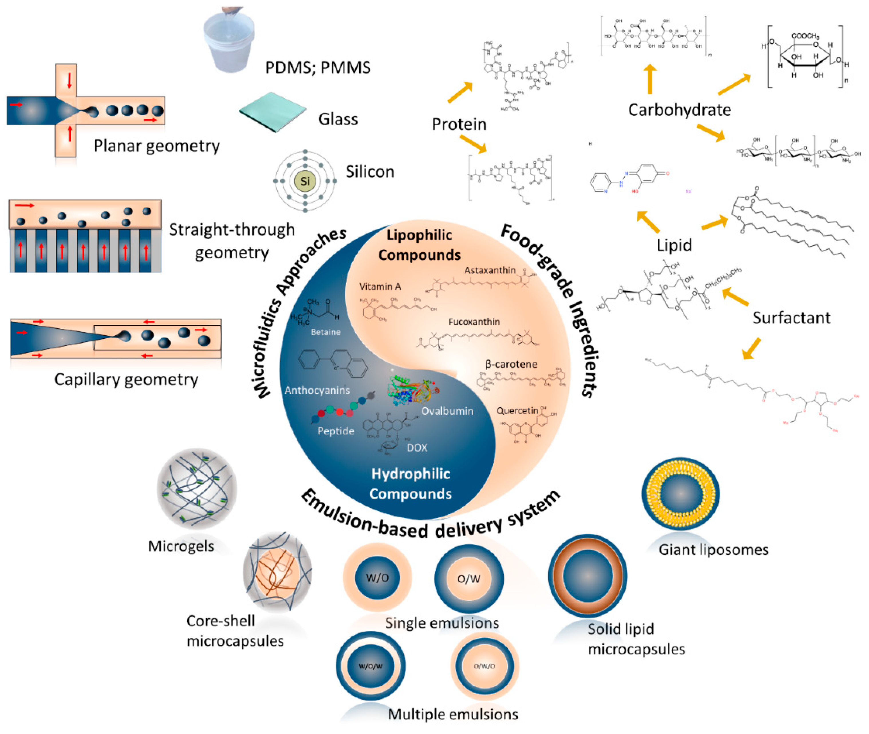 Preprints 82891 g001