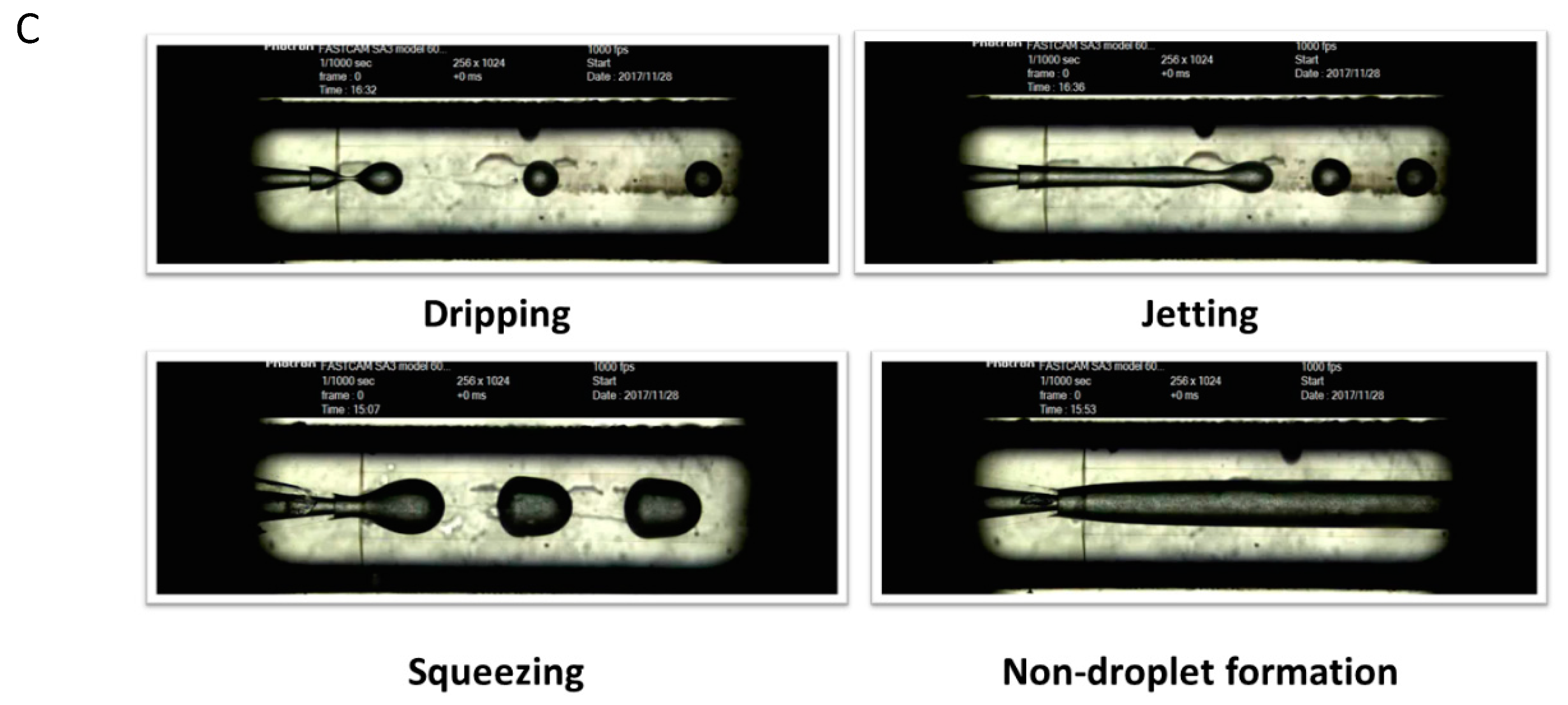 Preprints 82891 g002b