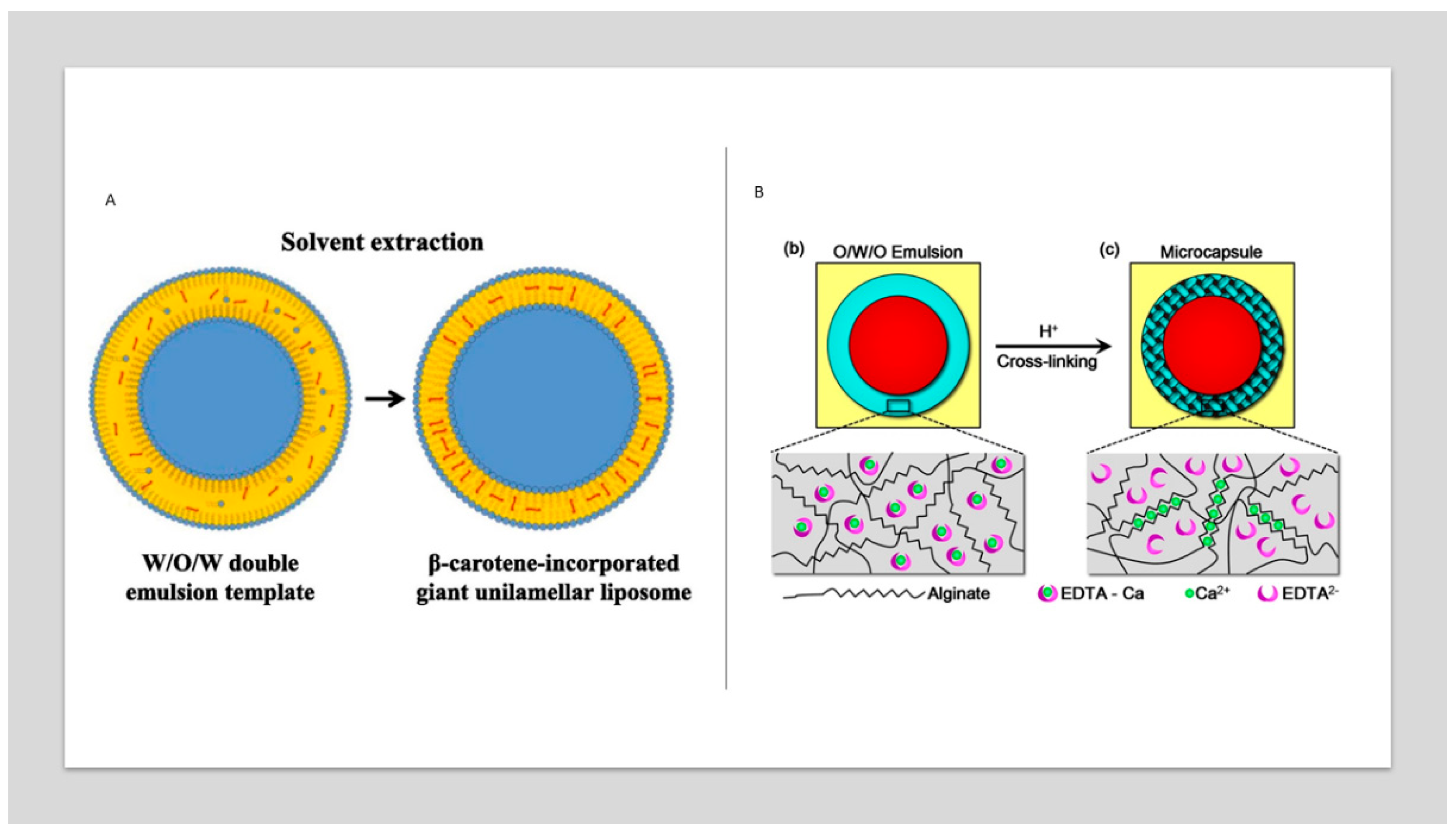 Preprints 82891 g003