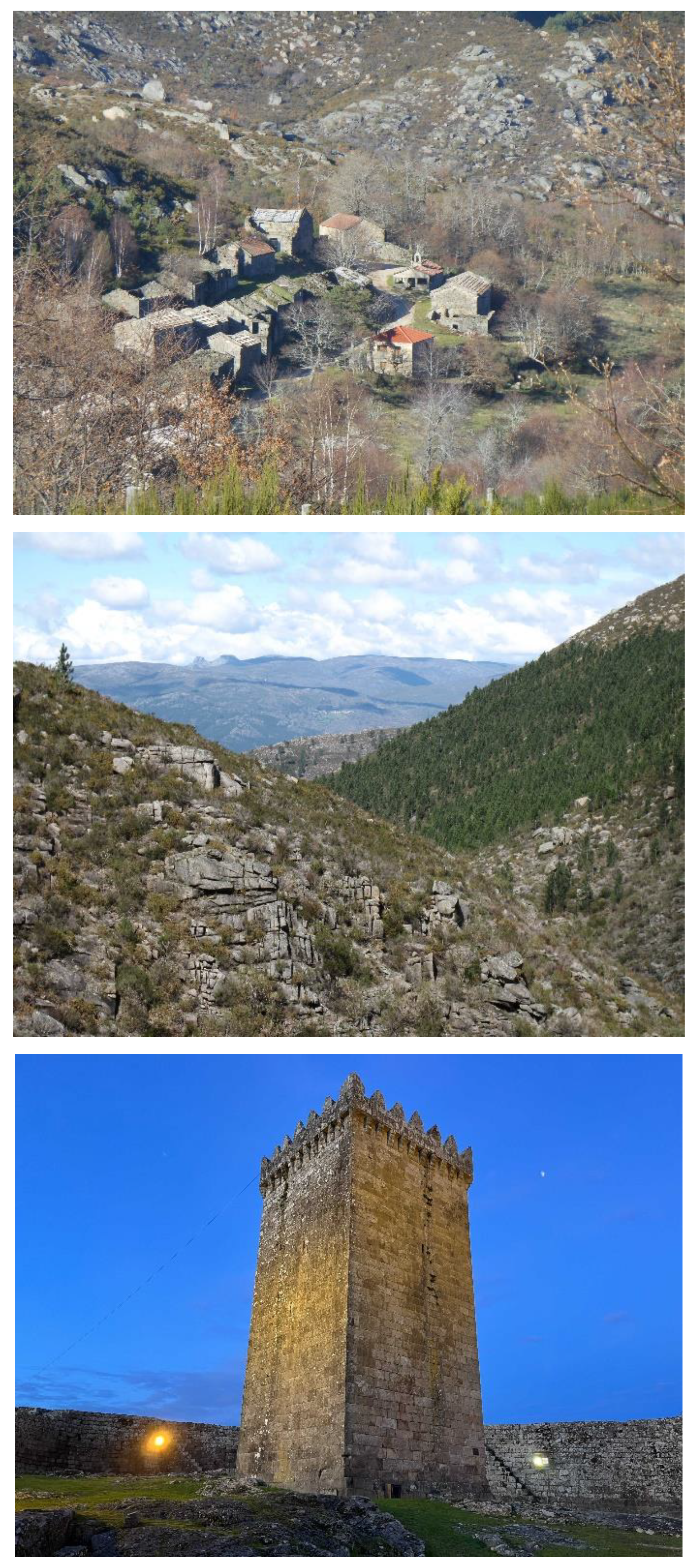 Preprints 150045 g004