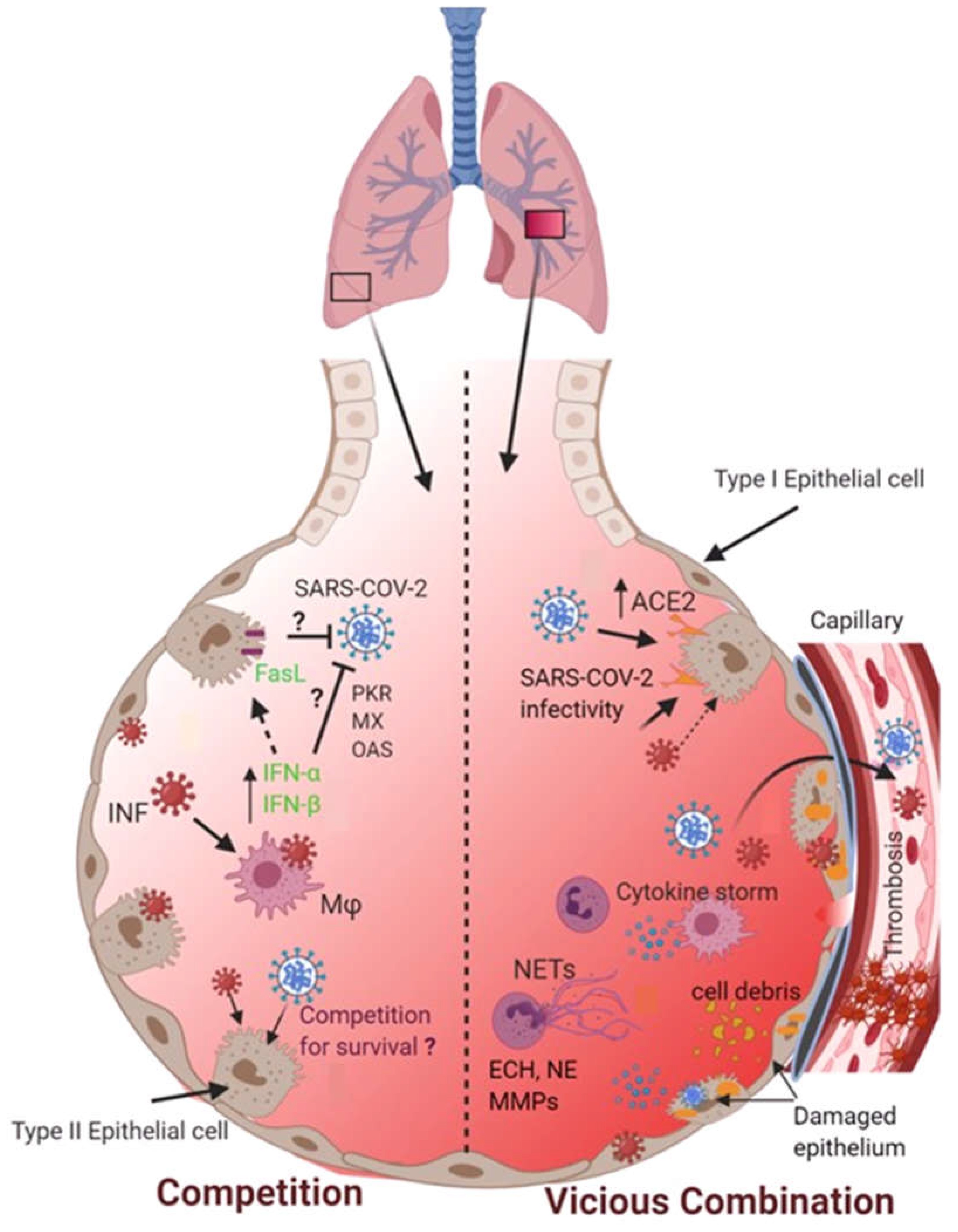 Preprints 104284 g001