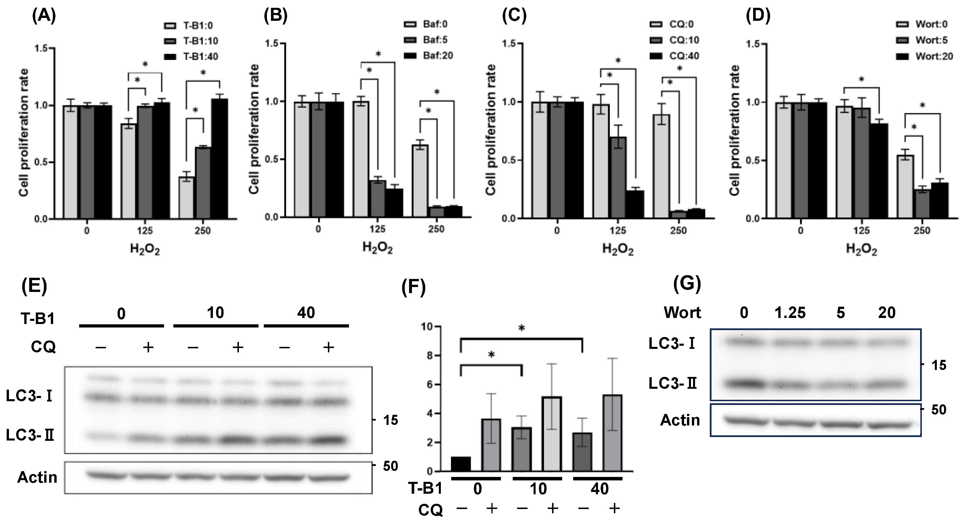 Preprints 148805 g002