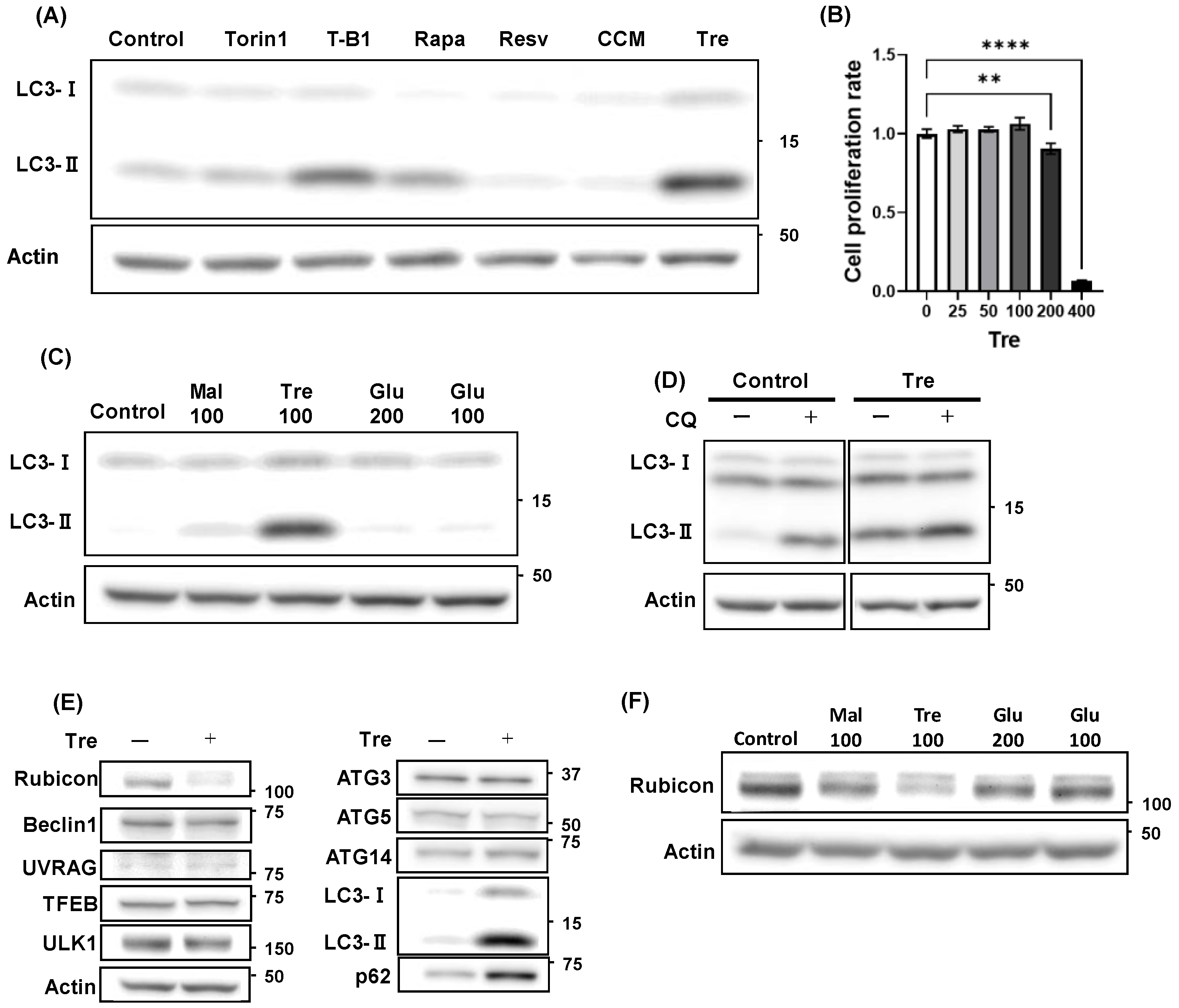 Preprints 148805 g003