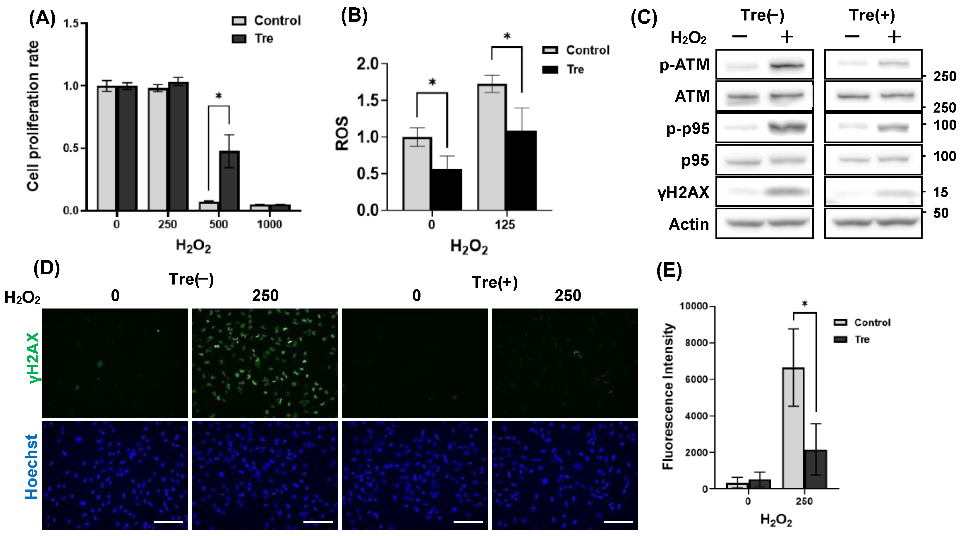 Preprints 148805 g004