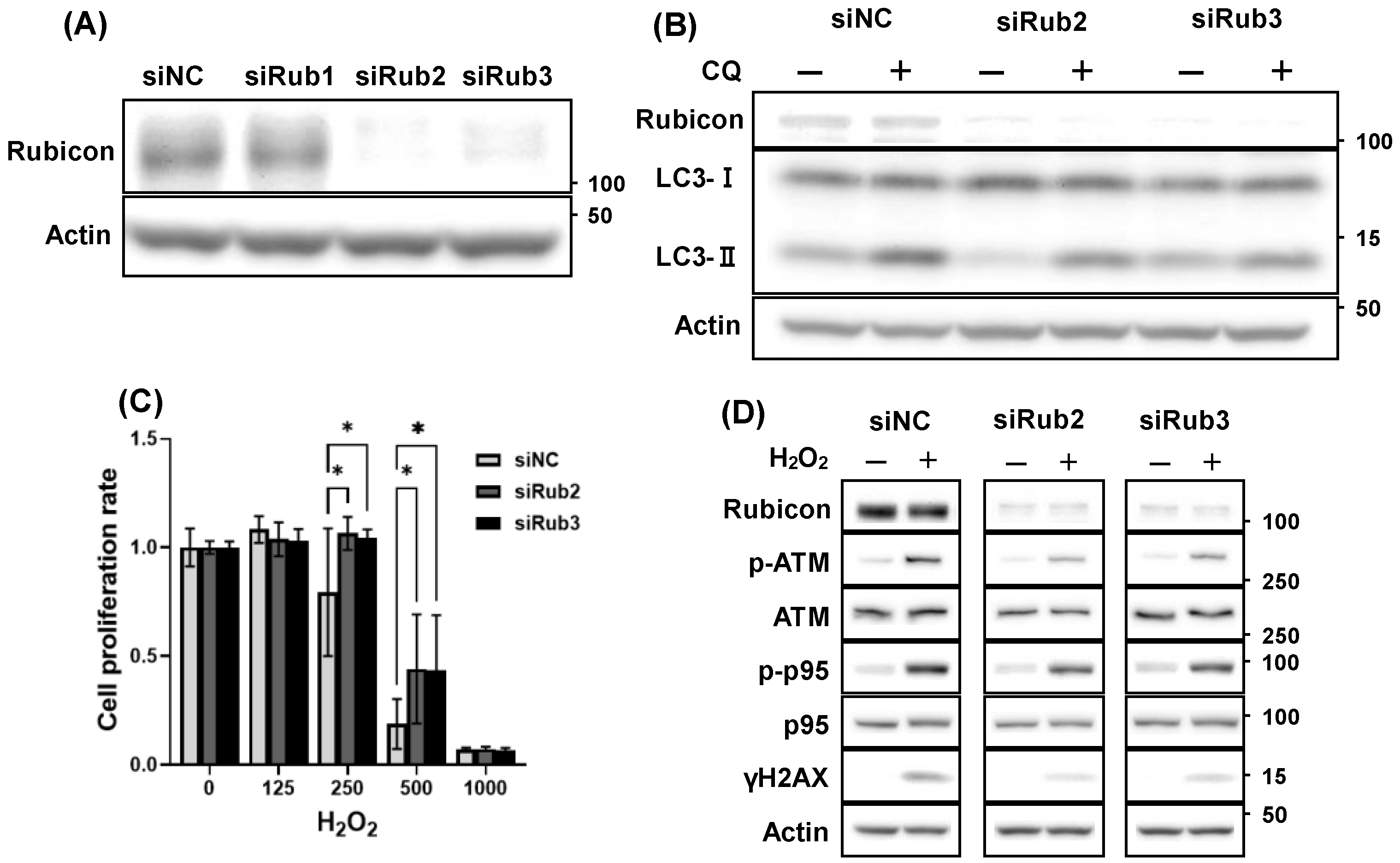 Preprints 148805 g005