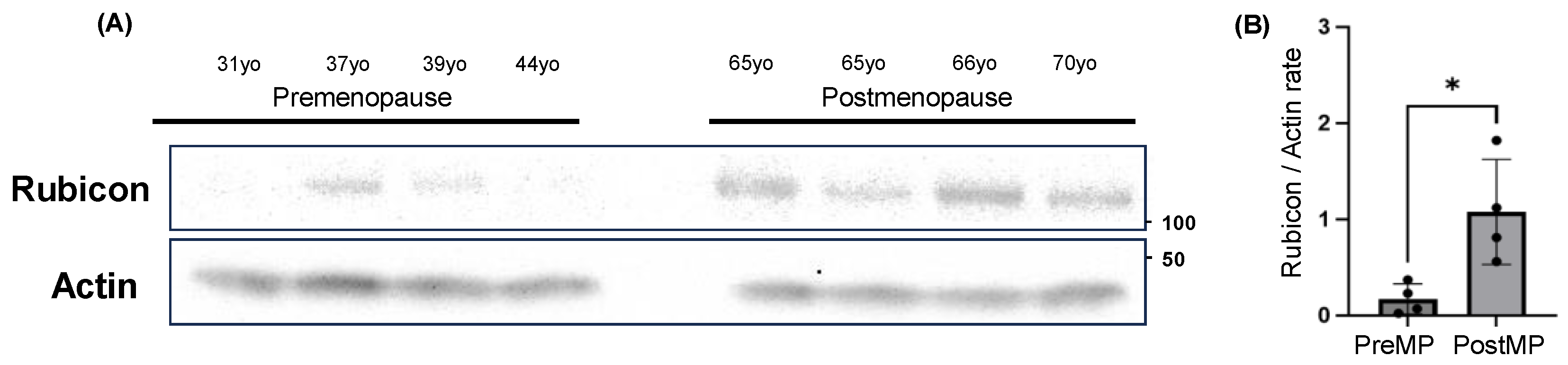 Preprints 148805 g007
