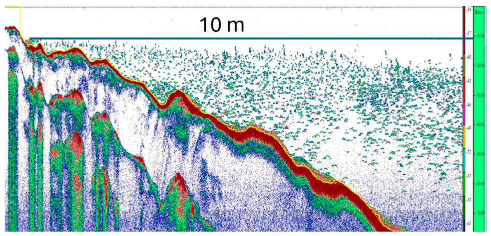 Preprints 230251 g004