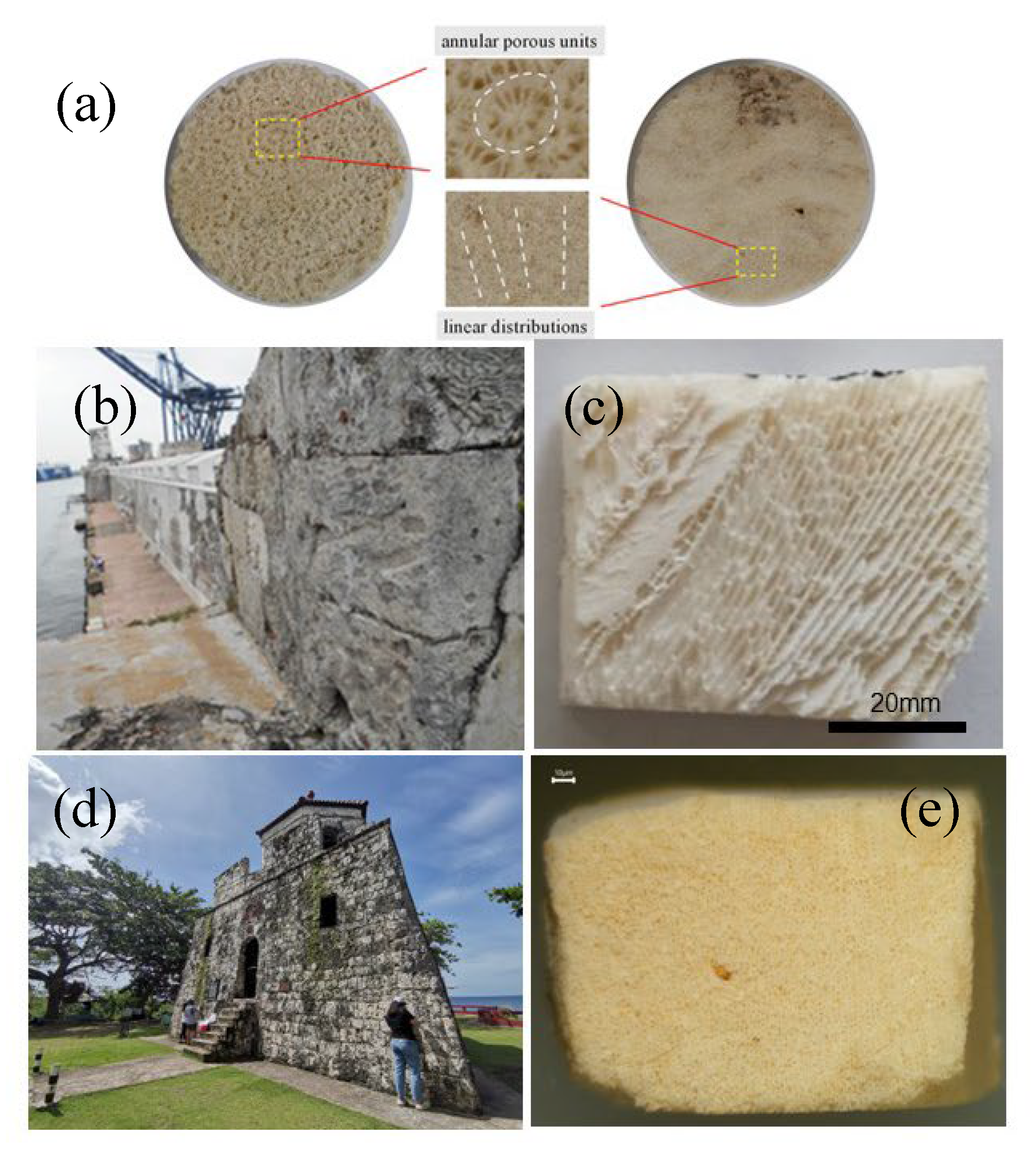 Preprints 200731 g006