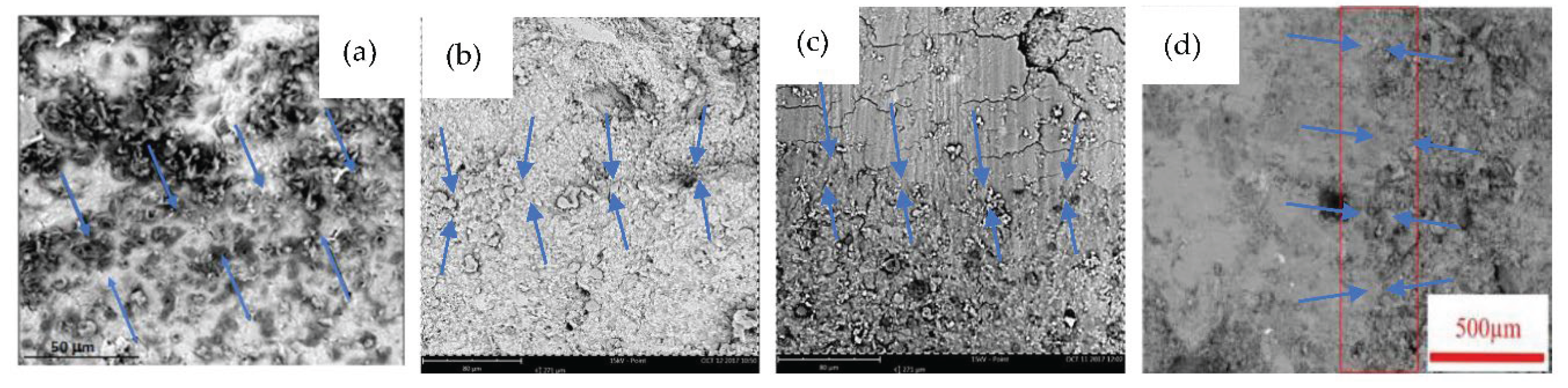 Preprints 200731 g012
